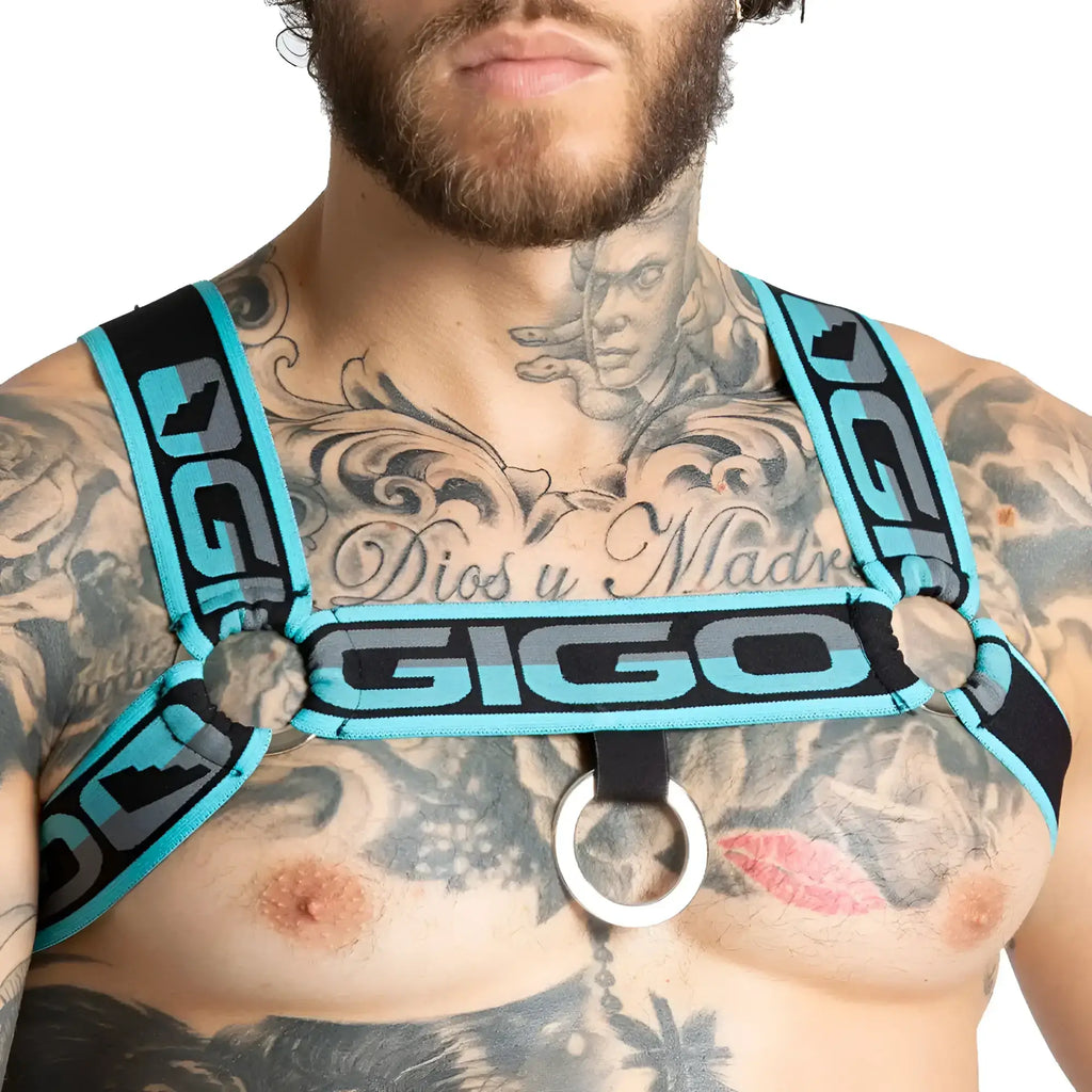Teal and black gigo karma blue harness with silver ring centerpiece designed for secure pet control