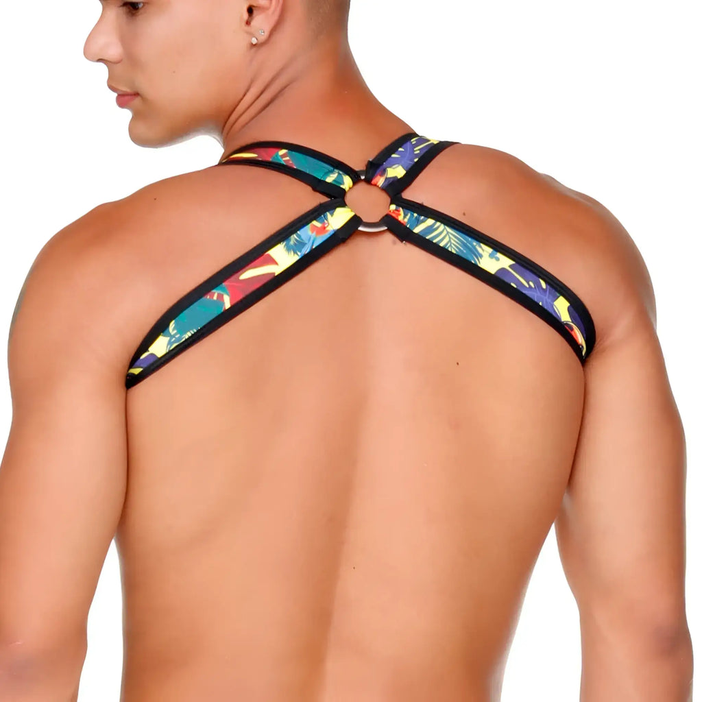 Vibrant gigo macaws yellow harness with tropical leaf pattern black trim and central metal ring for pets