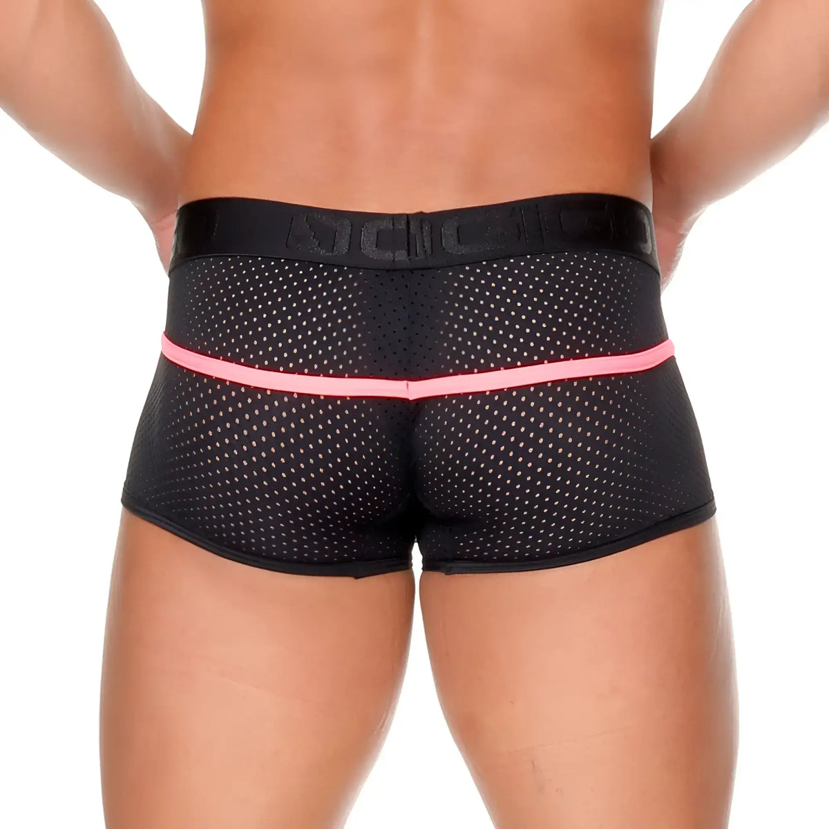 Black mesh briefs with pink elastic waistband embossed with dici brand from gigo medieval candy trunk collection