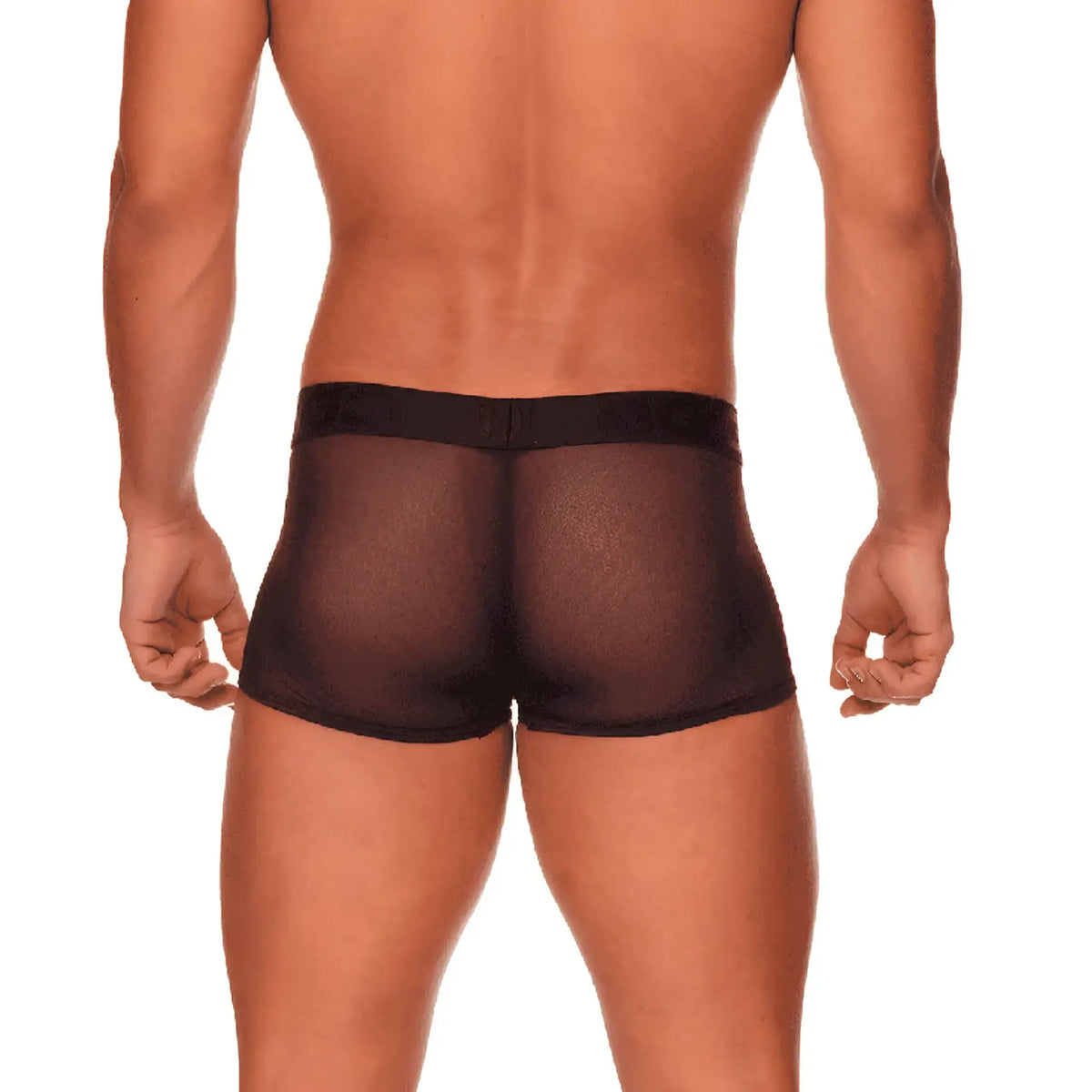 Black sheer mesh briefs with solid black elastic waistband from gigo mediterranean trunk collection front view