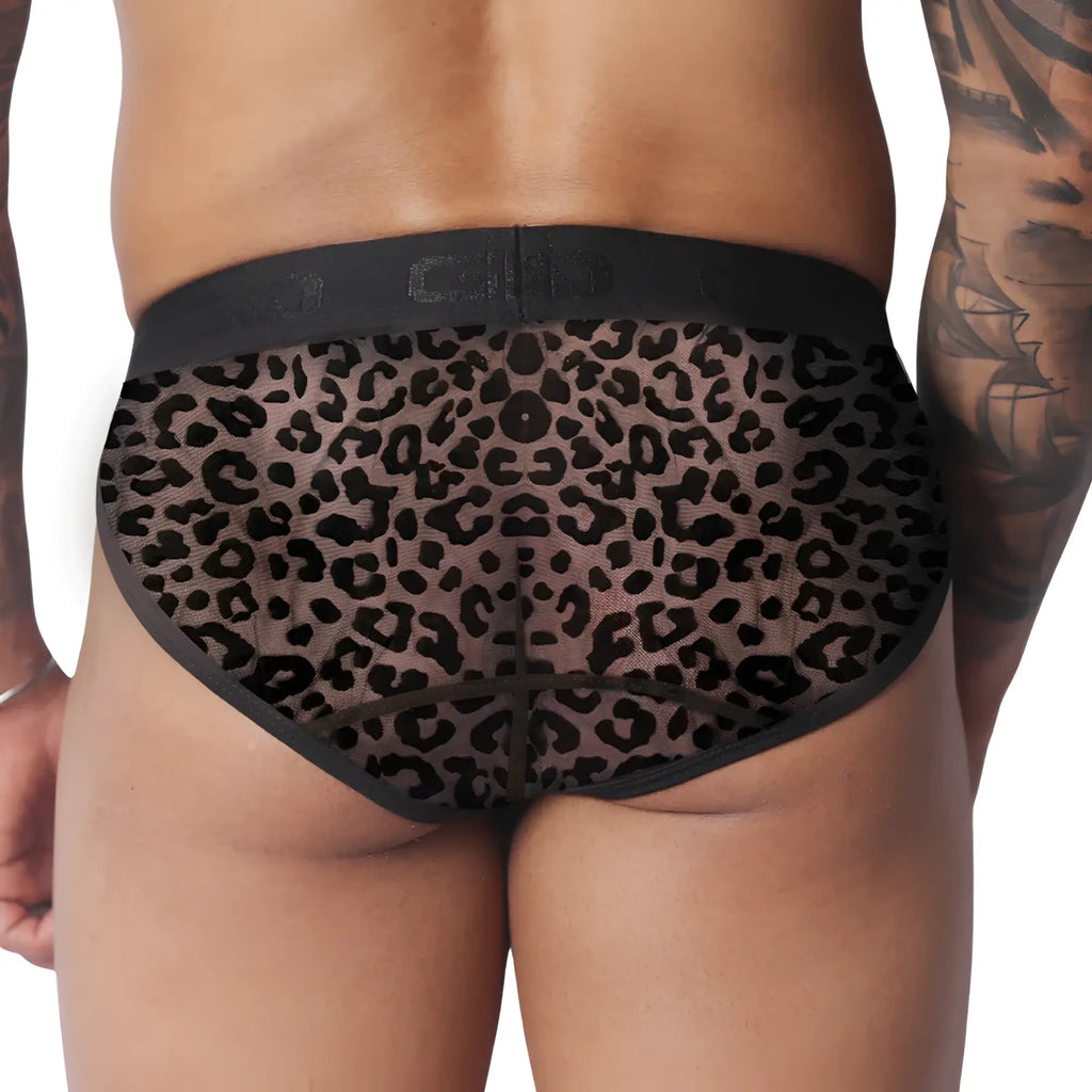 Sheer leopard print briefs with black trim and a wide, logo-branded elastic waistband.
