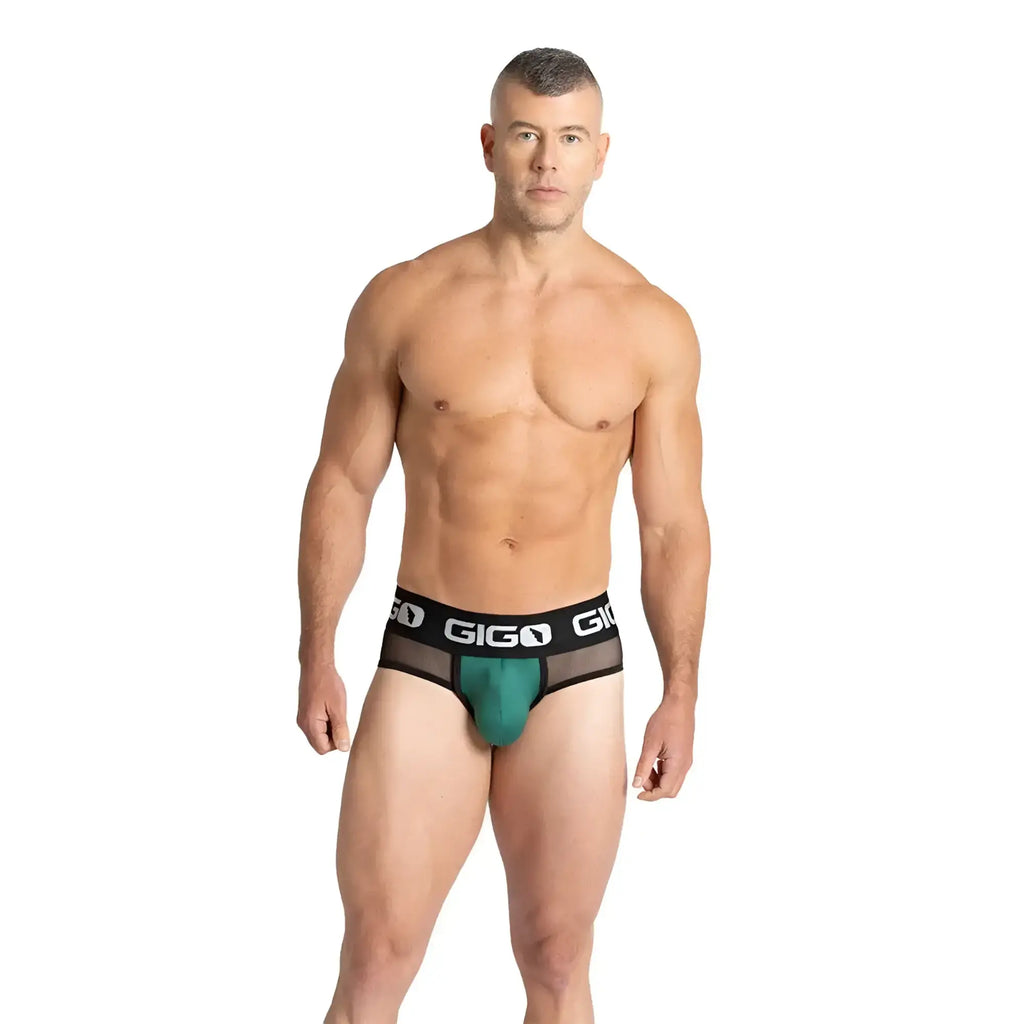 Teal and black gigo purity green brief with mesh waistband showcasing breathable support and modern design