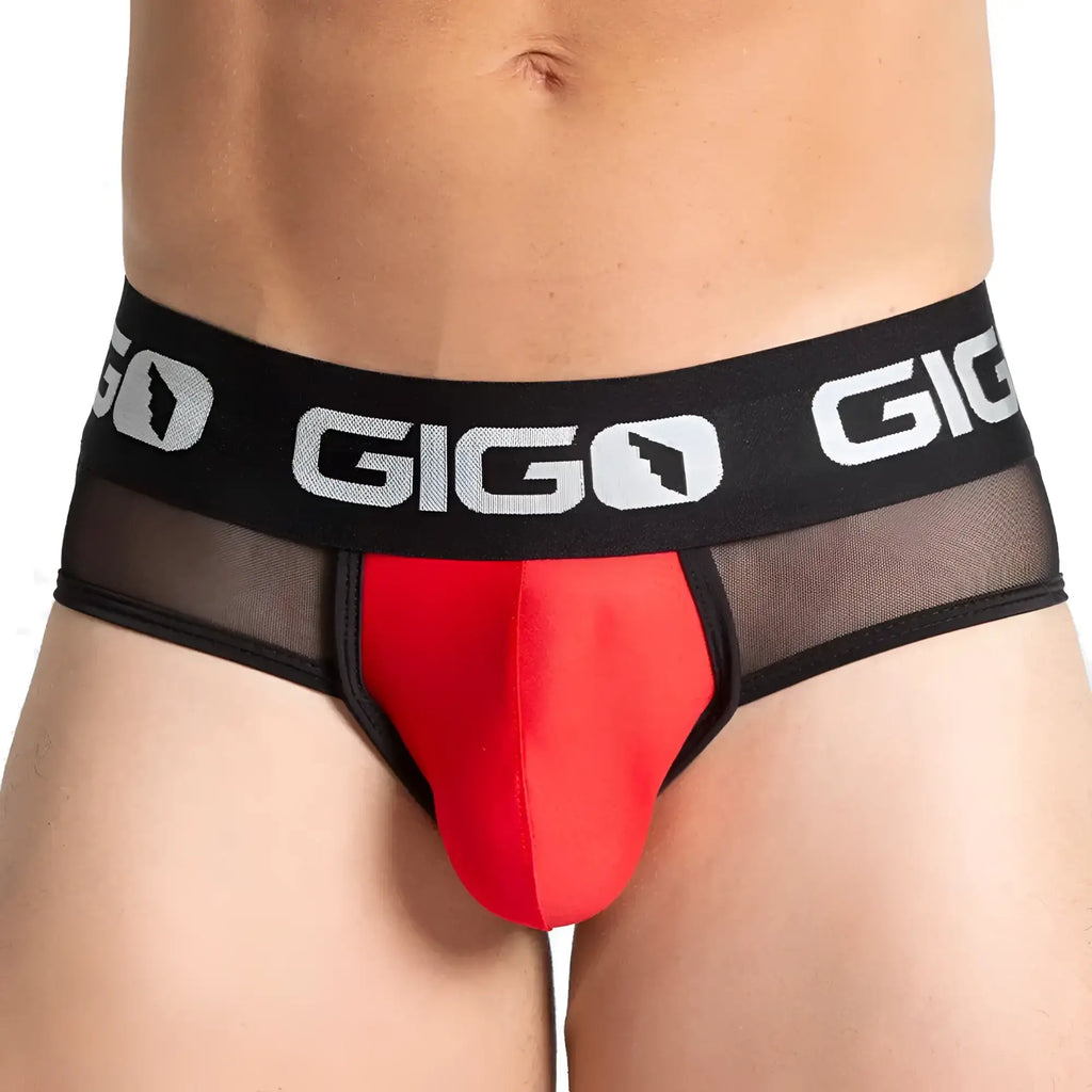 Gigo purity red brief menÃ¢â‚¬â„¢s red and black briefs with mesh panel showcasing front design