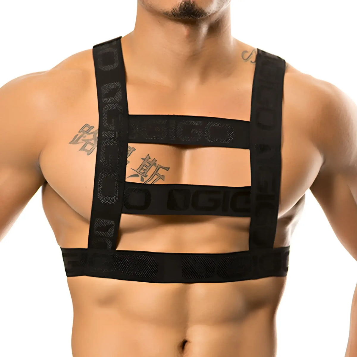 Black gigo resistless harness with bold branded lettering across the straps for secure use