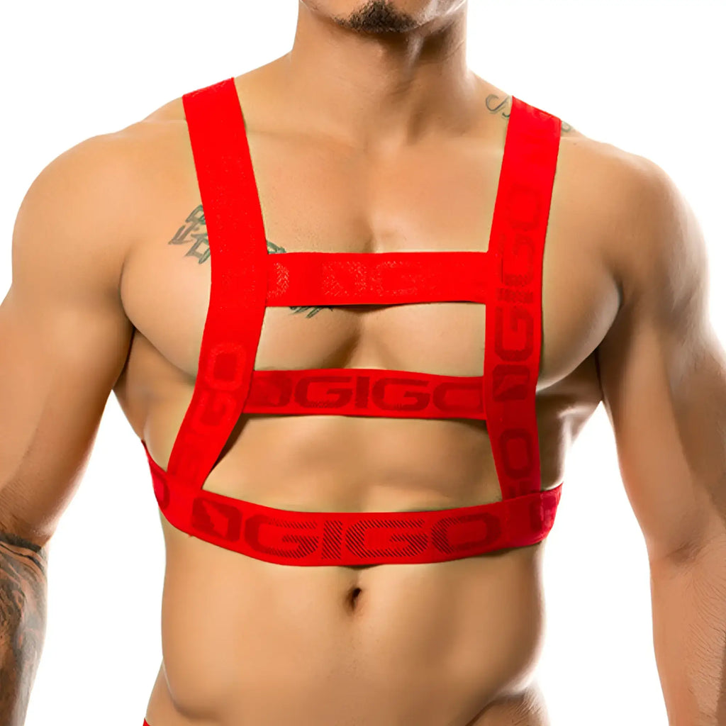 Red elastic strap harness with dgigo branding designed for resistance training and durability