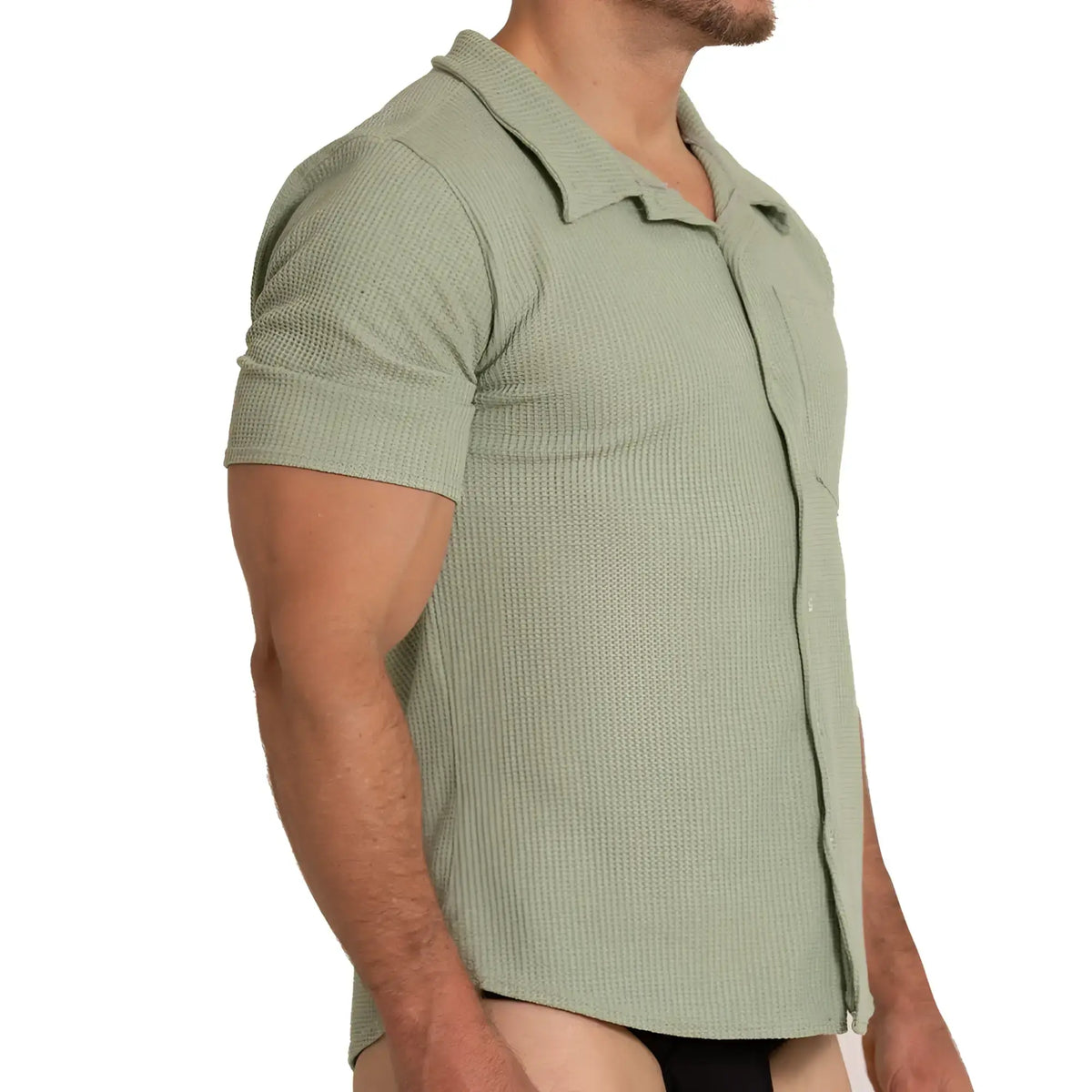 A menÃ¢â‚¬â„¢s short-sleeved polo shirt in muted sage green with textured waffle knit and classic collar gigo tissue green shirt