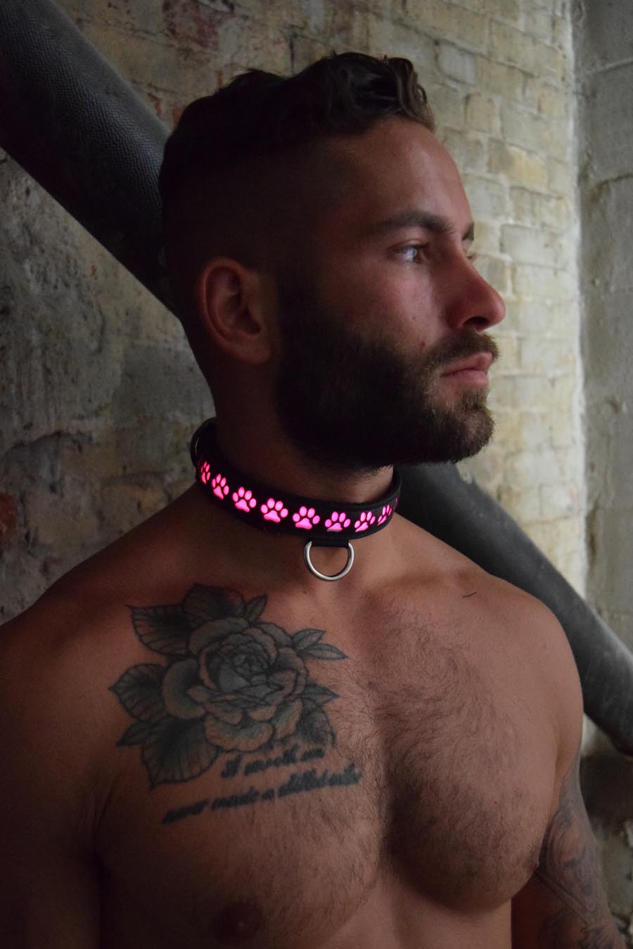 Breedwell Gay Men's Pup Collar