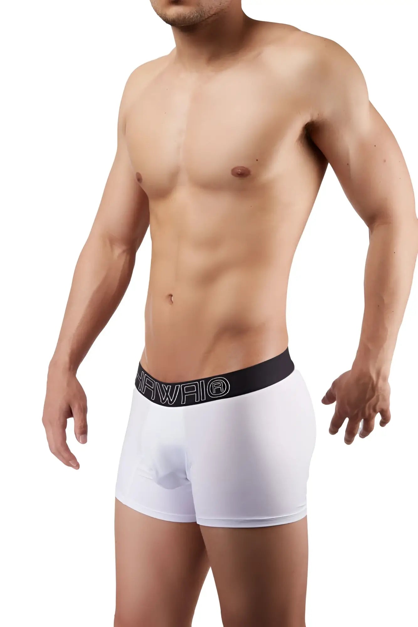 White boxer briefs featuring a black elastic waistband with brand name hawaii in white lettering model 41948