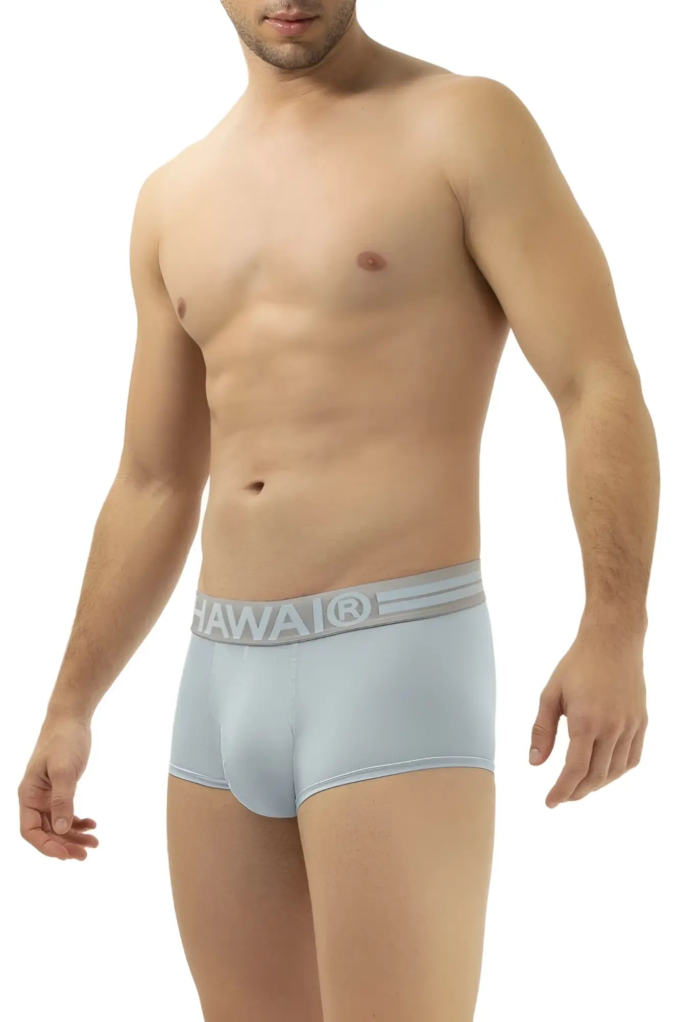 Light blue hawaii microfiber men’s briefs with gray waistband and hawaii brand name visible on the front