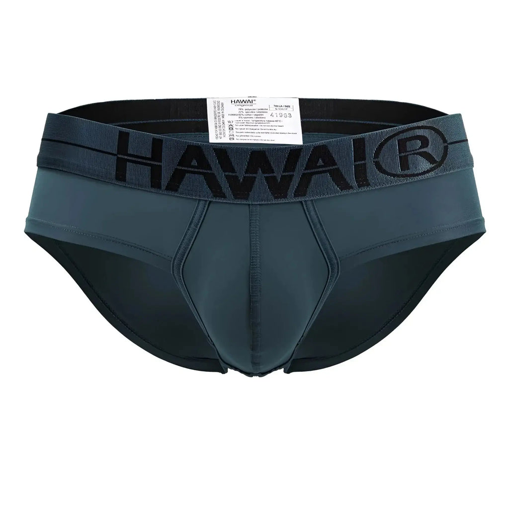 Dark teal hawaii microfiber briefs with black elastic waistband featuring hawai logo in green color