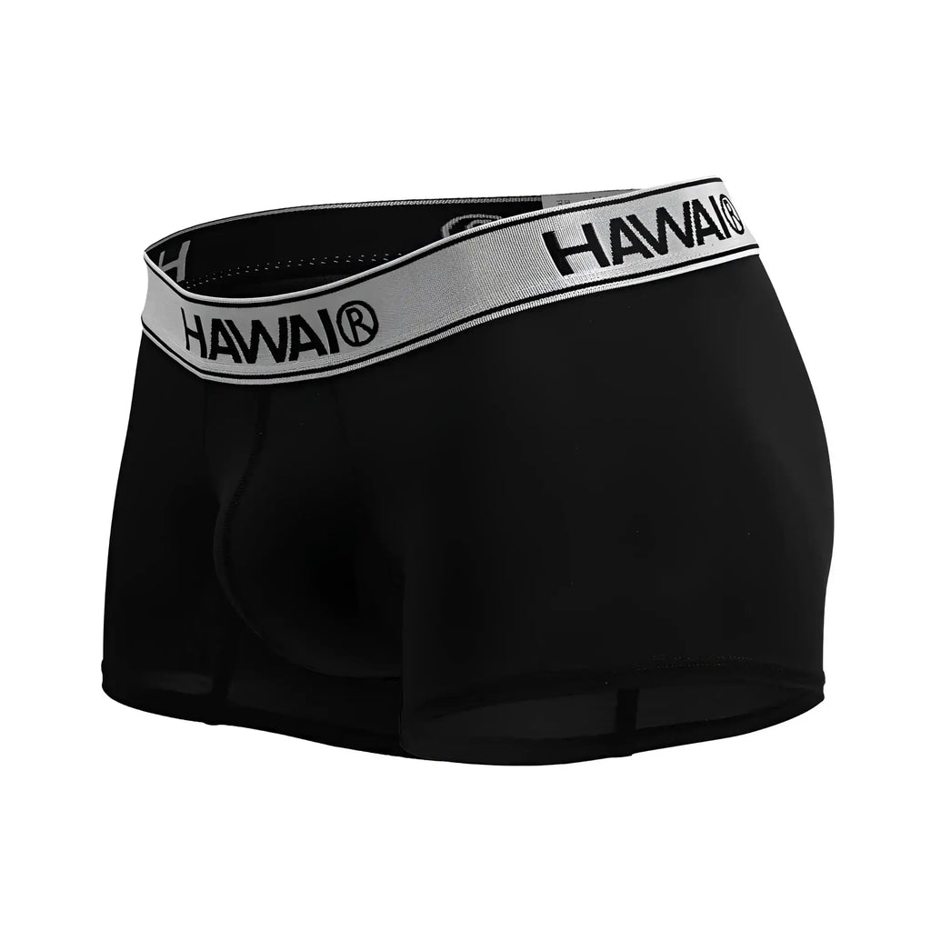 Black hawai briefs in black microfiber with a gray waistband featuring black brand name lettering