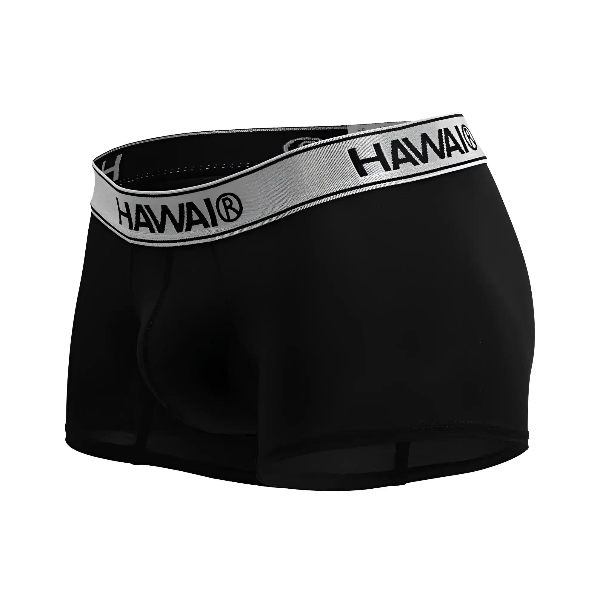 Black hawai briefs in black microfiber with a gray waistband featuring black brand name lettering
