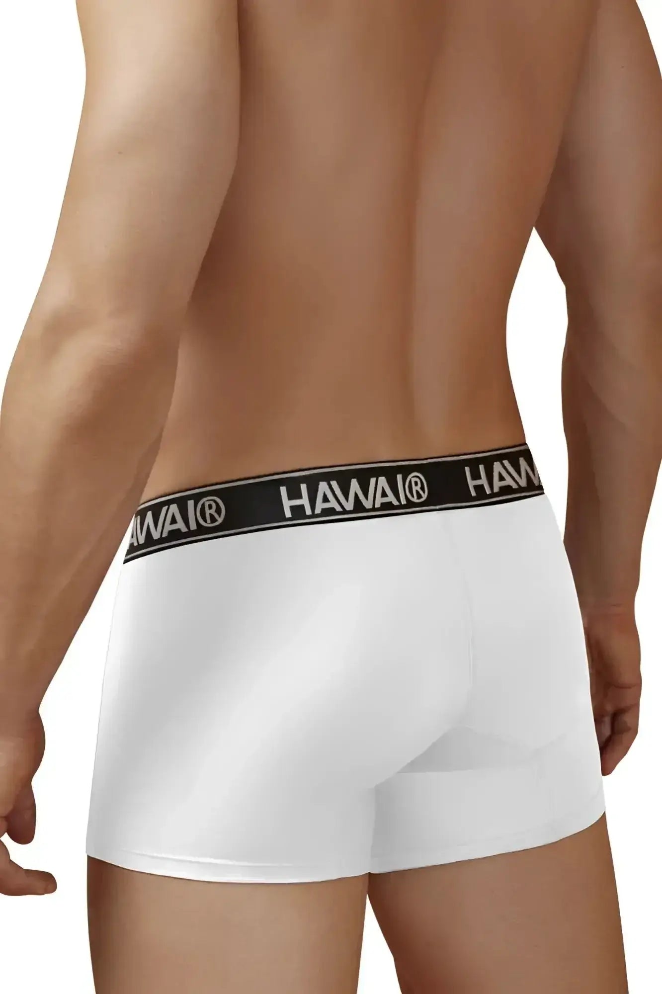 White havai microfiber briefs with black elastic waistband featuring brand name in white lettering model hawair 41977