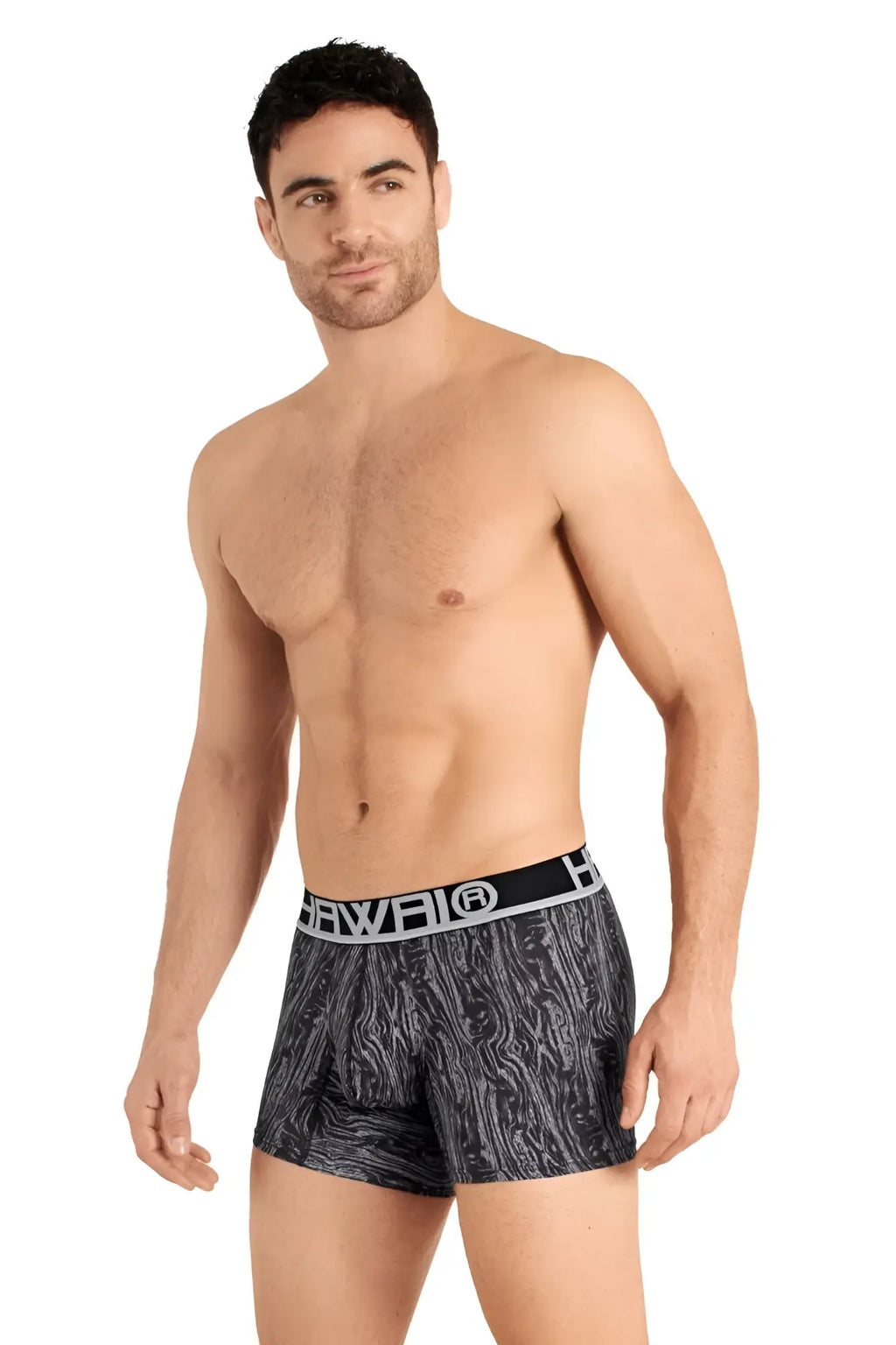 Gray black patterned boxer briefs with white hawai logo on waistband in hawai 42021 trunks color gray