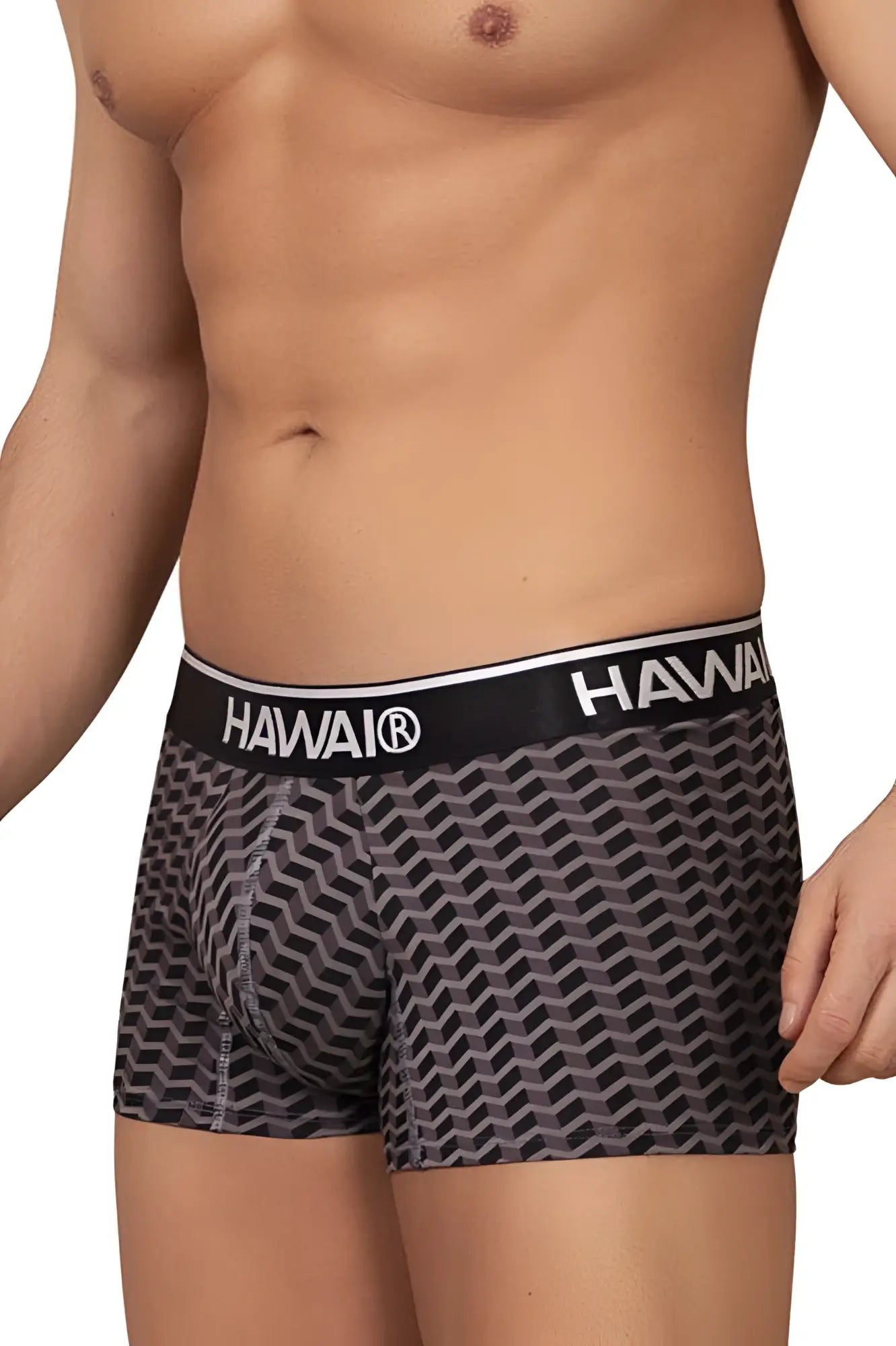 Black and gray geometric-patterned boxer briefs with black hawaii waistband in gray color printed trunks design