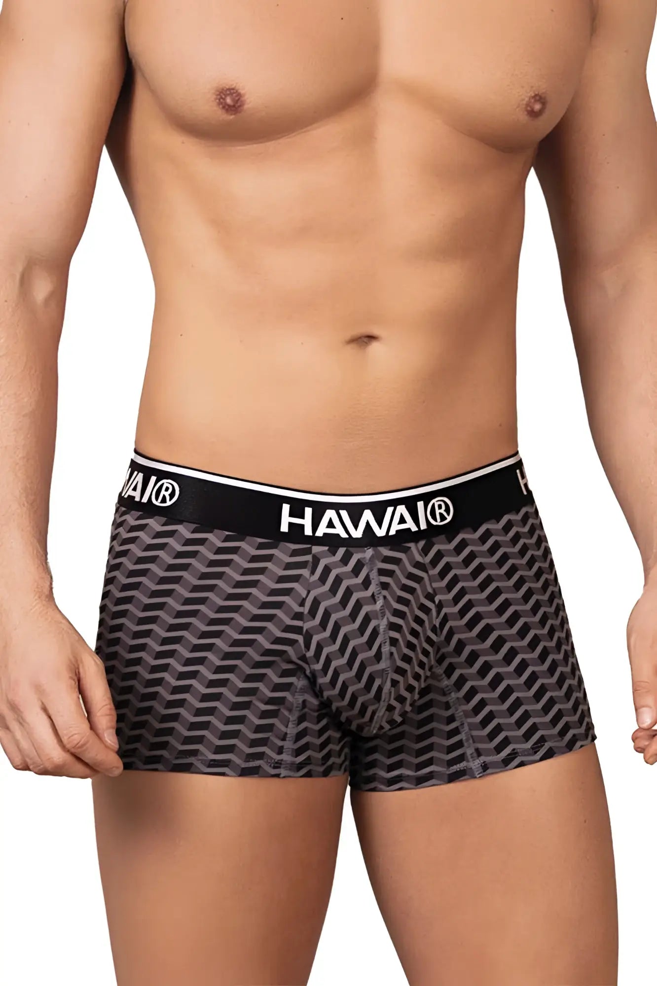 Black and gray geometric-patterned havai men’s boxer briefs with branded elastic waistband in gray color