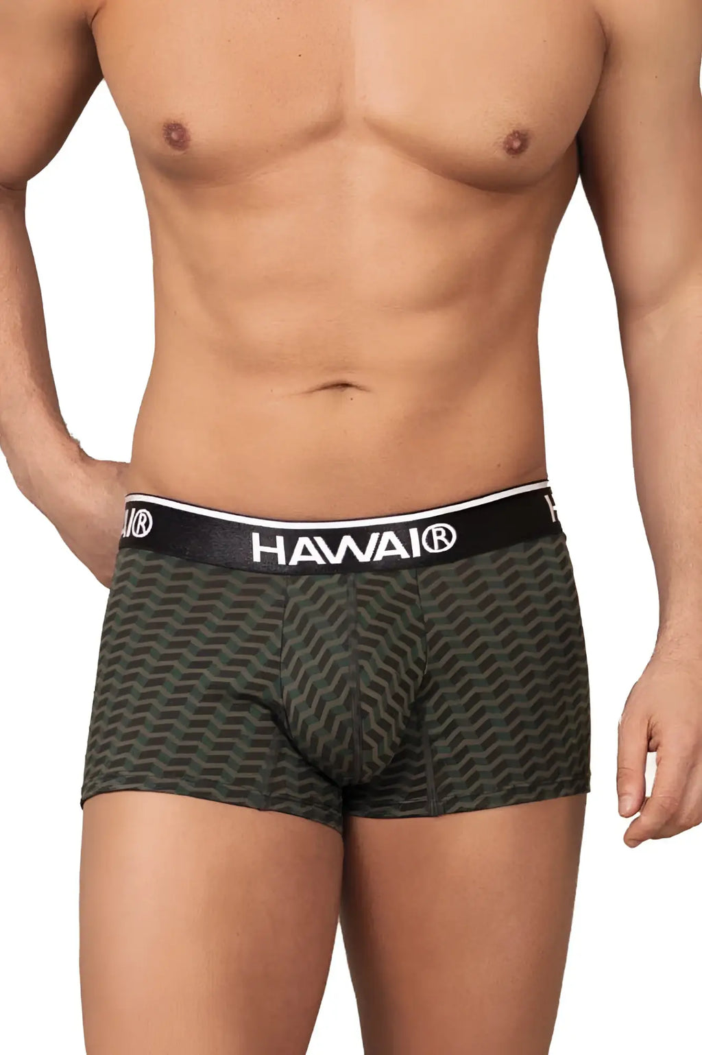 Dark green patterned boxer briefs with black hawaii branded waistband printed trunks color green