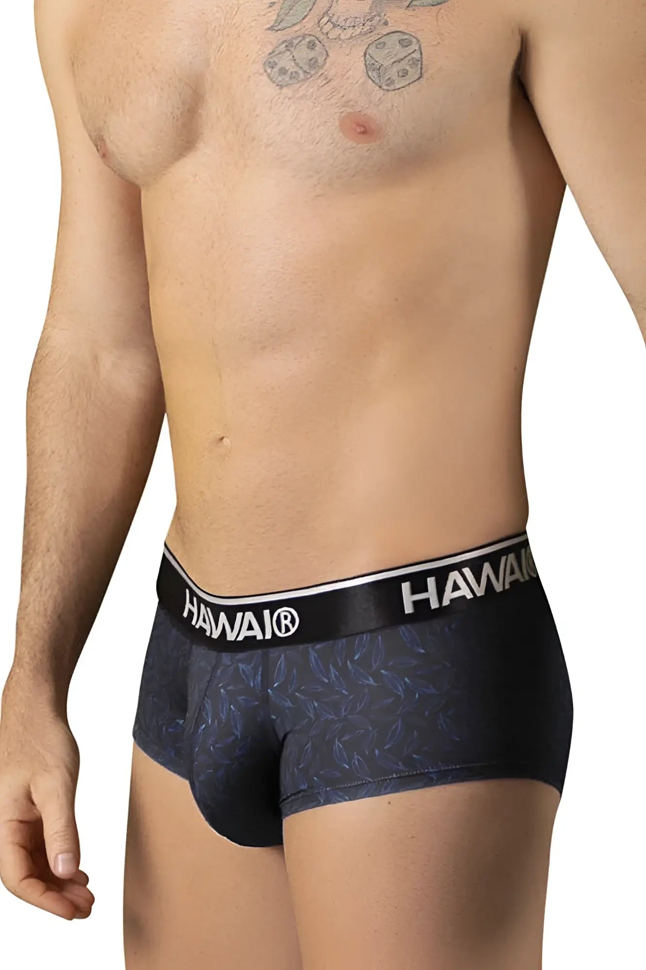 Black Hawai 42380 printed briefs boxer briefs in black with a subtle blue leaf pattern and a white logo band