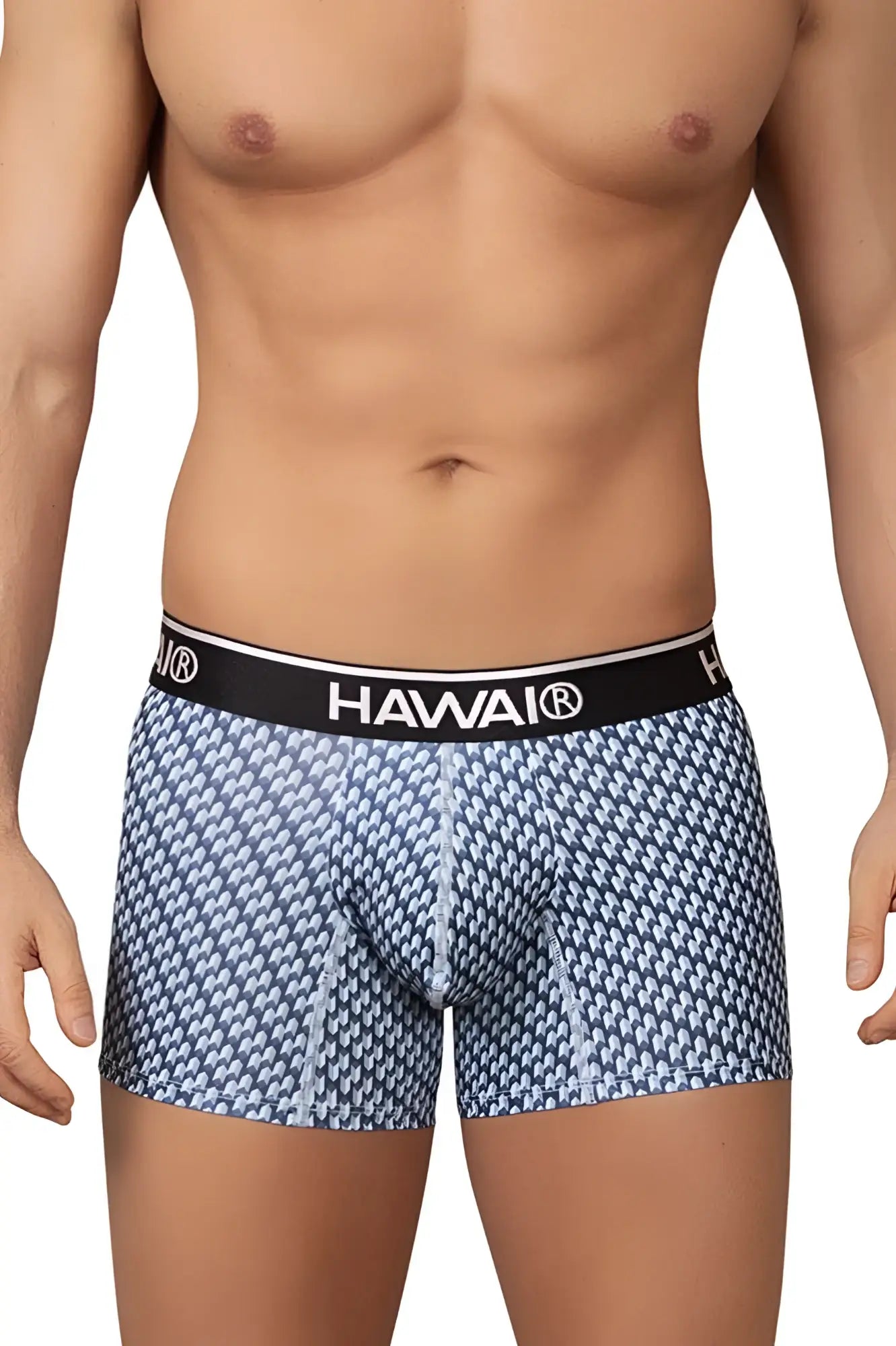 Blue and white patterned Hawai 42420 printed trunks boxer briefs with a black waistband featuring brand name