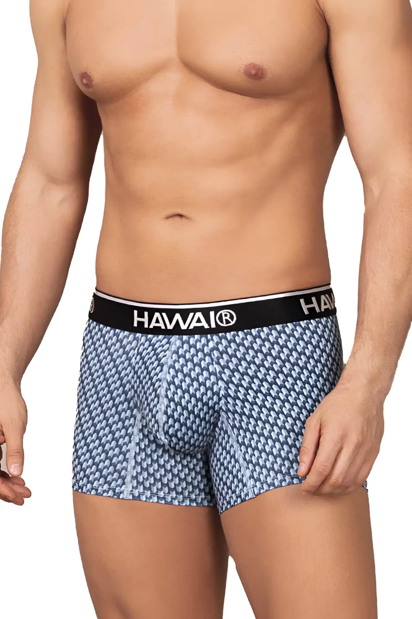 Hawaii 42420 printed trunks in blue feature blue and white patterned boxer briefs with a black elastic waistband