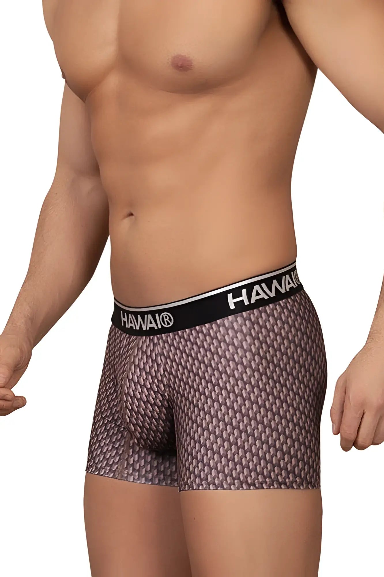 Hawai 42420 printed trunks in cocoa with Hawaiian pattern and black waistband featuring Hawaii logo in white letters