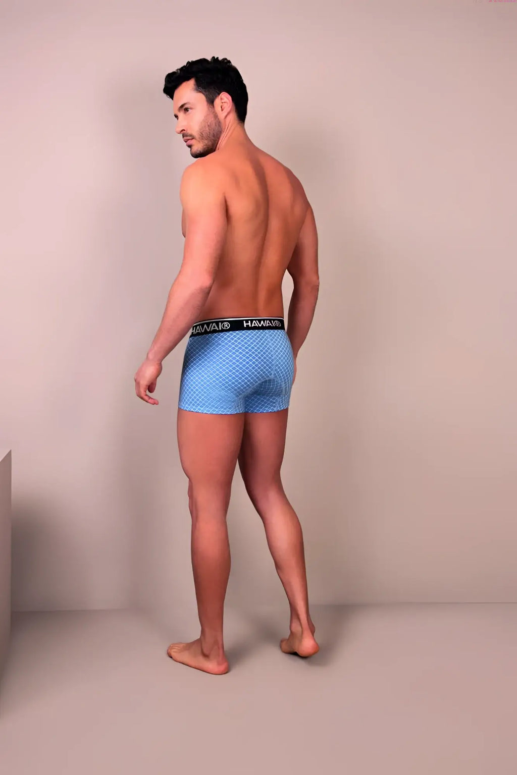 Light blue patterned habanos printed boxer briefs with black elastic waistband hawai 42421 trunks color blue