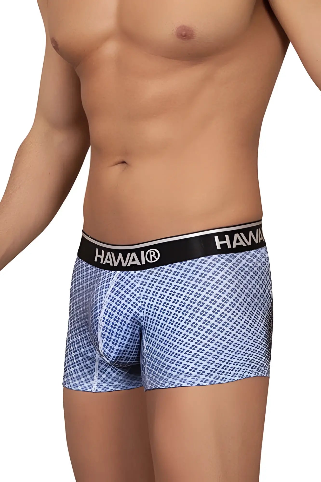 Blue and white checkered hawaii brand men’s boxer briefs with black waistband hawi 42421 printed trunks color blue
