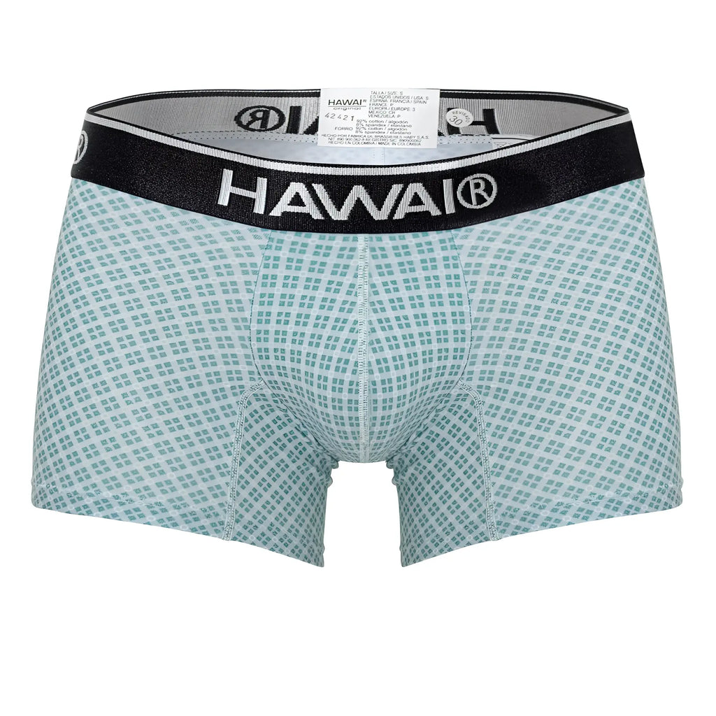 Hawaii 42421 printed trunks green men’s boxer briefs in light teal and white checkered pattern with black waistband