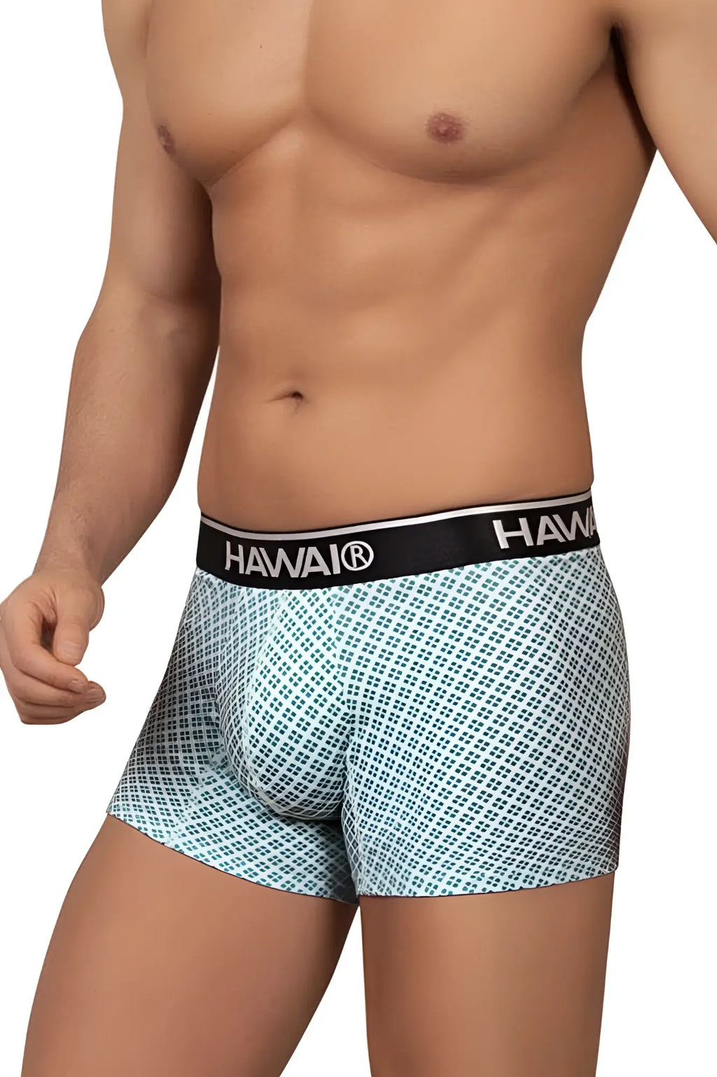 Light blue patterned boxer briefs with black hawaii waistband in green color for comfortable everyday wear