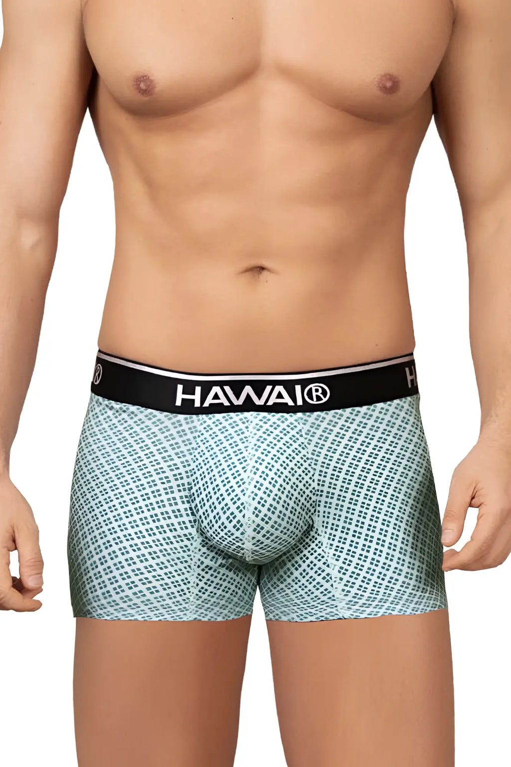Light blue patterned boxer briefs with black waistband and hawai brand name in white from Hawai 42421 printed trunks green
