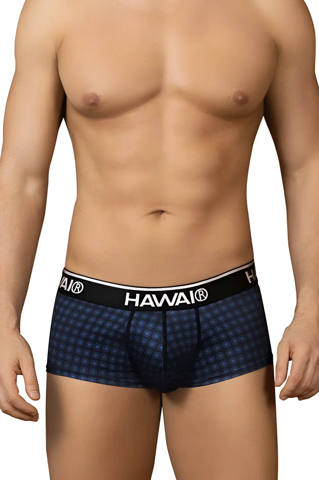 Blue checkered hawai 42430 printed briefs with a black elastic waistband for men