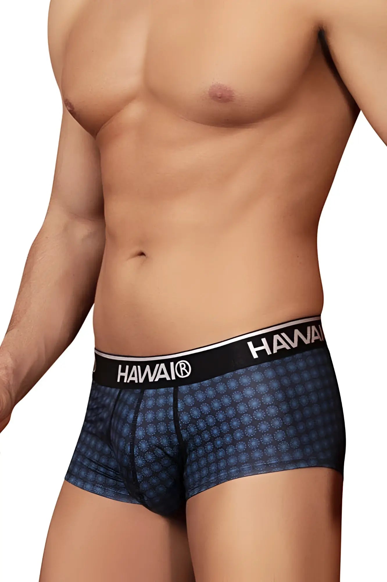 Blue patterned Hawai boxer briefs with black waistband and white lettering from model 42430 printed briefs color blue