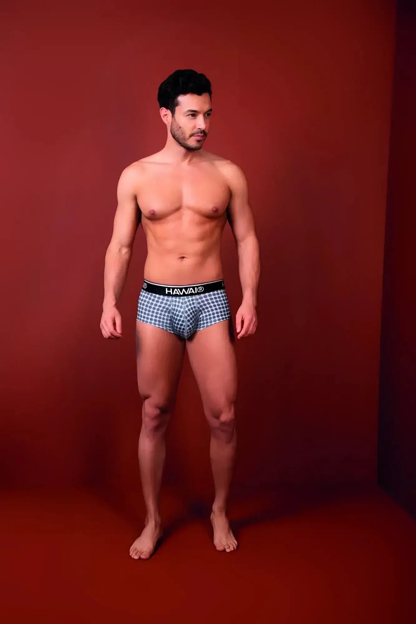 Blue and white checkered hawai 42430 printed briefs with black waistband in gray color for comfortable wear