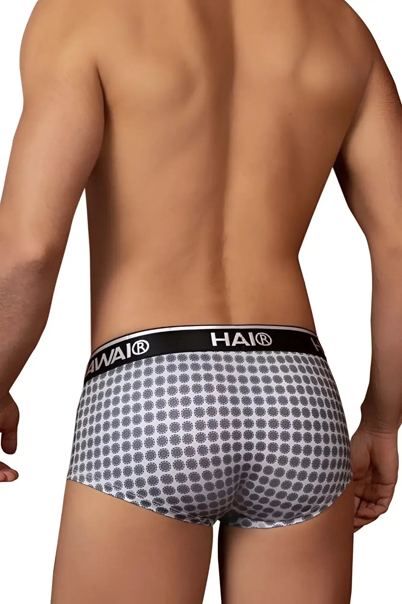 Gray patterned briefs with black waistband featuring hai brand logo from hawai 42430 printed briefs collection