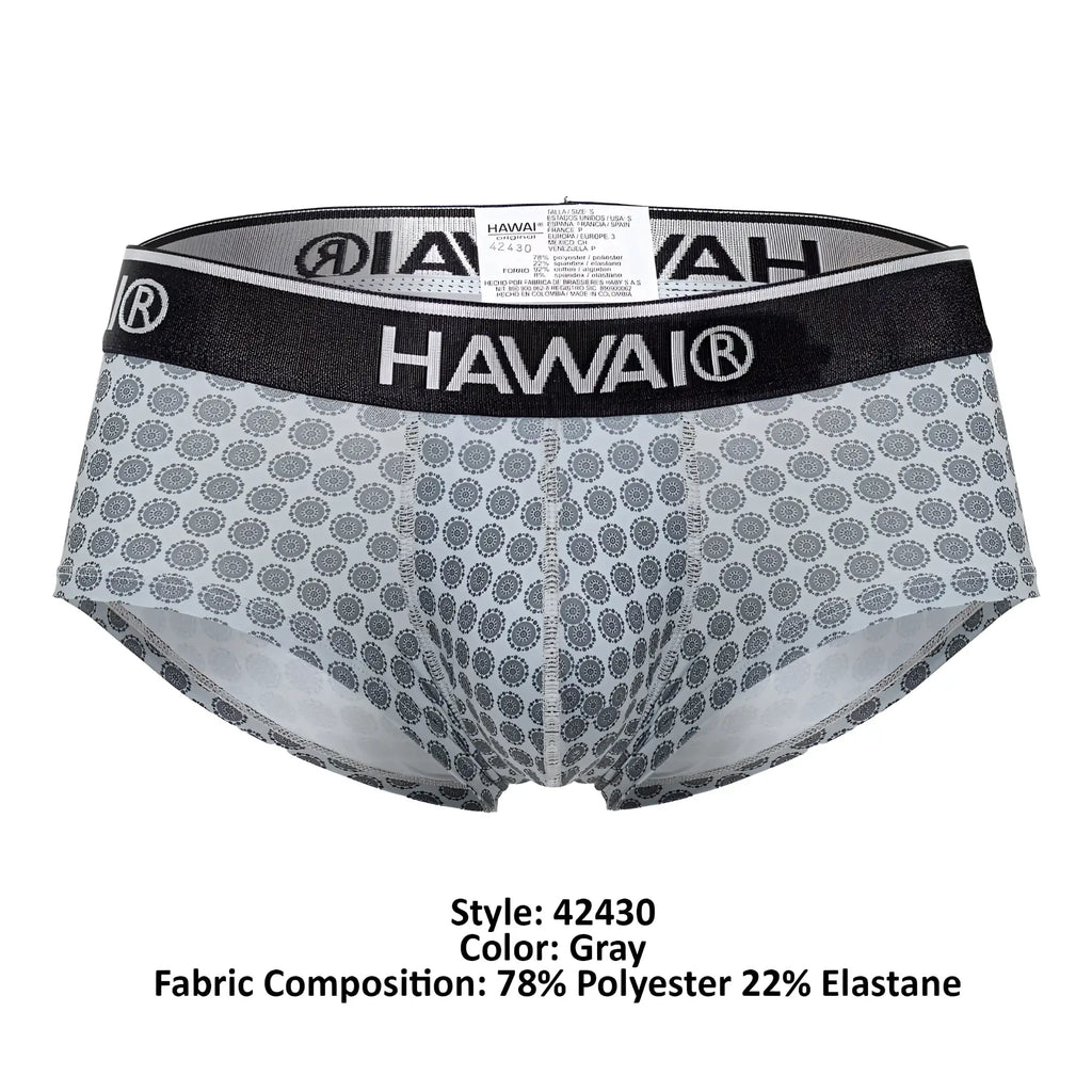 Gray patterned hawai 42430 printed briefs for men with black elastic waistband and white brand logo