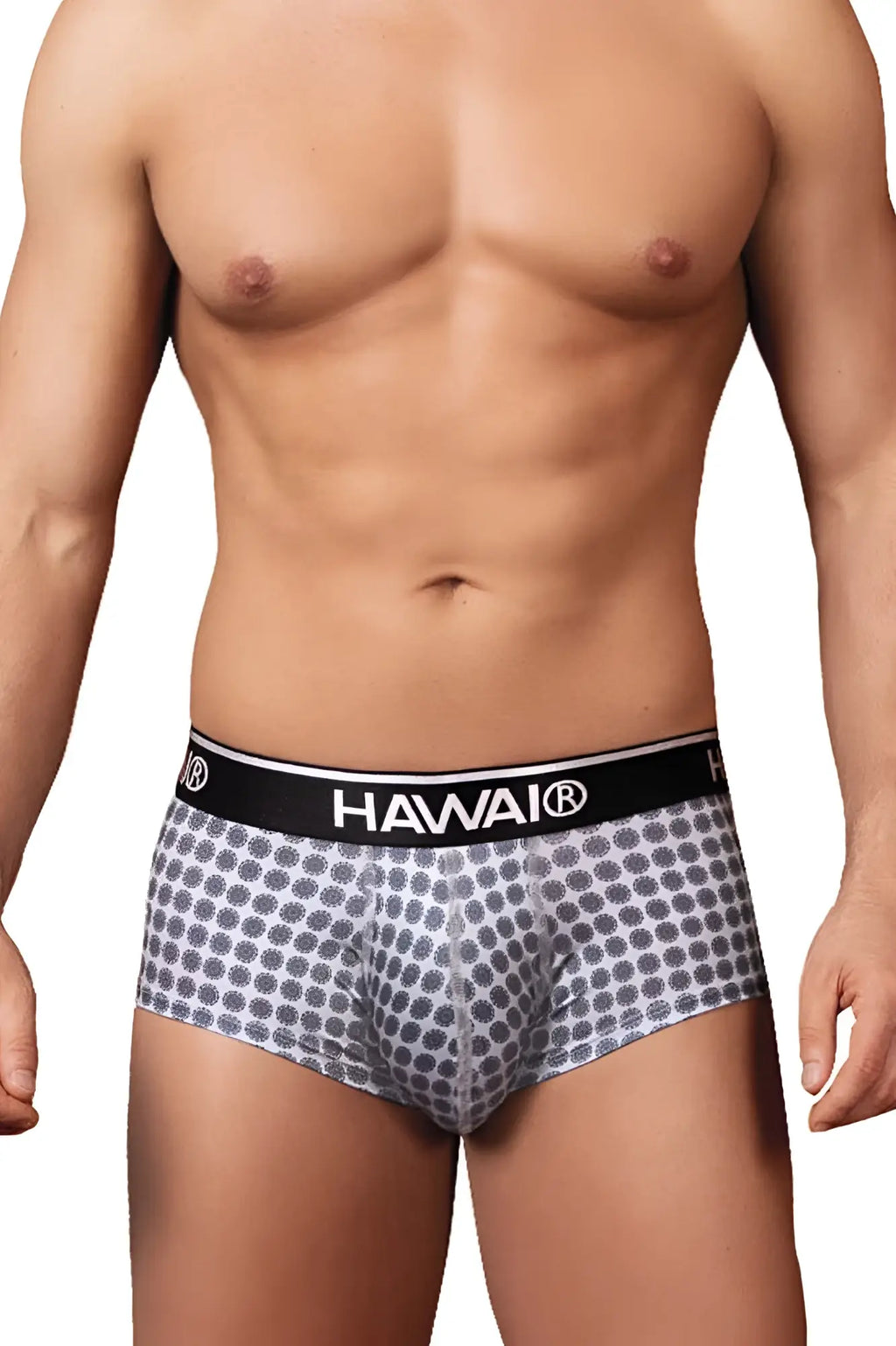 Gray patterned men’s briefs with black waistband featuring hawai brand name in hawai 42430 printed briefs color gray