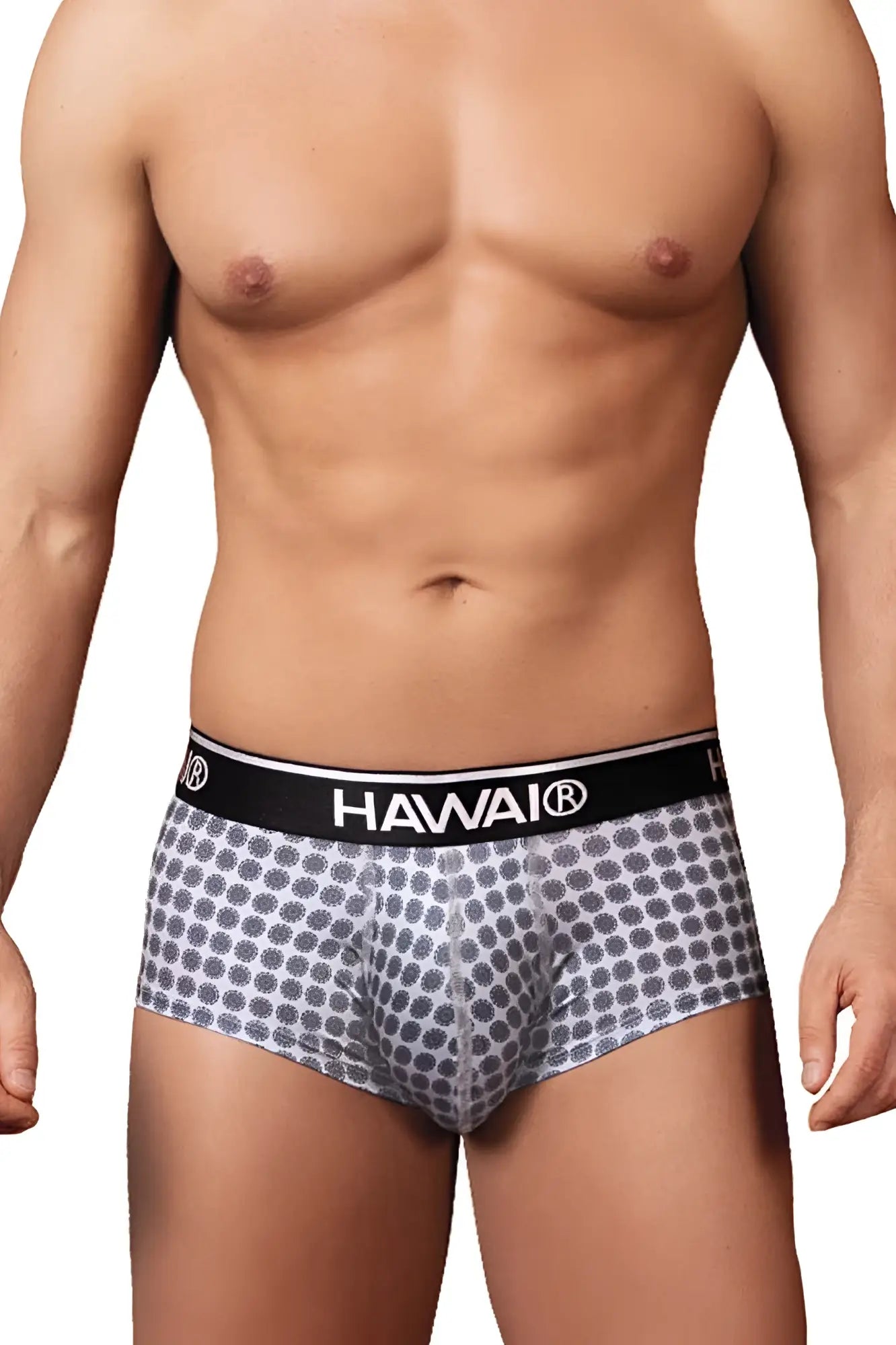 Gray patterned men’s briefs with black waistband featuring hawai brand name in hawai 42430 printed briefs color gray