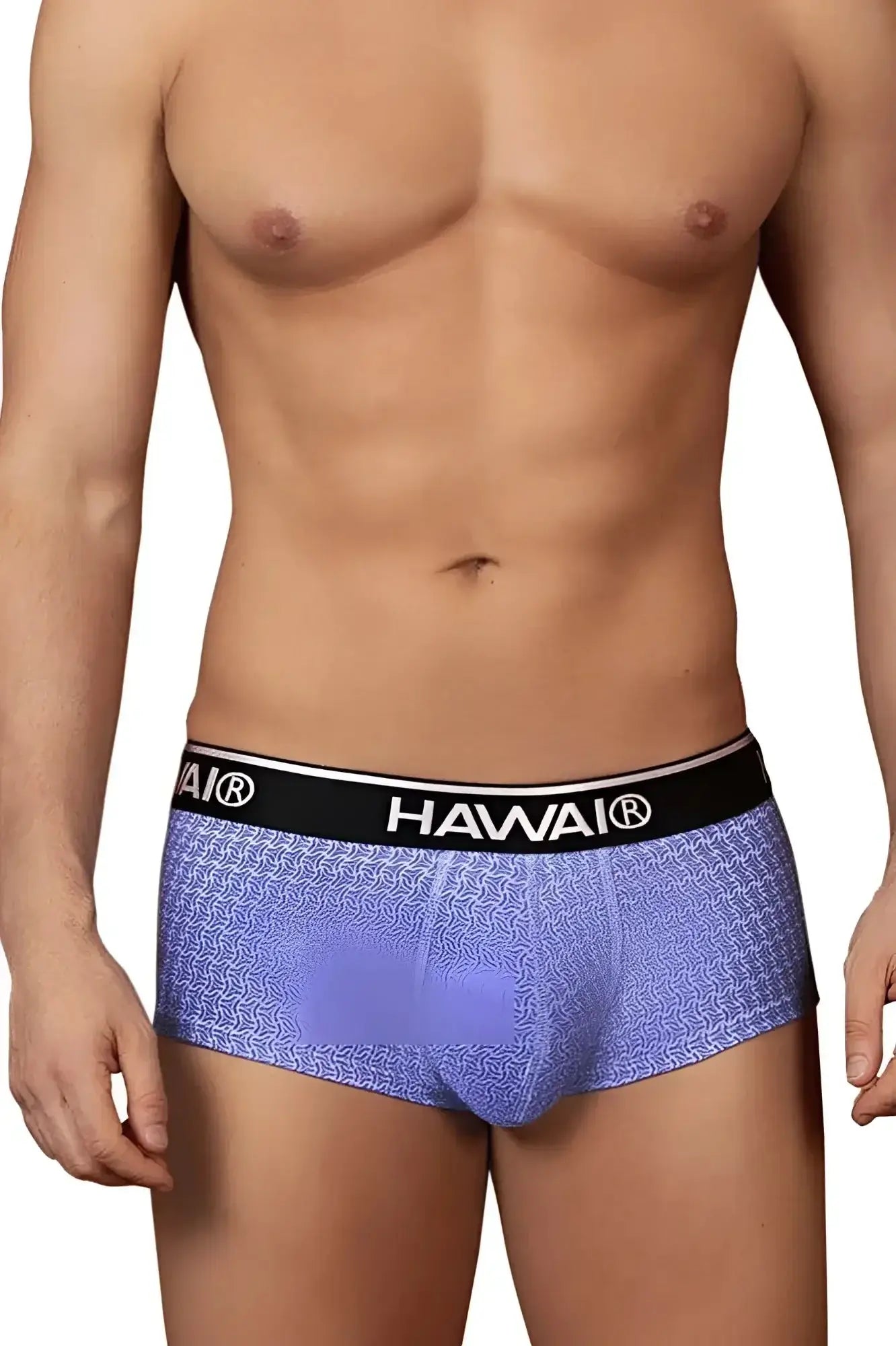 Blue printed briefs with purple patterns and black waistband featuring hawaii brand name model 42431