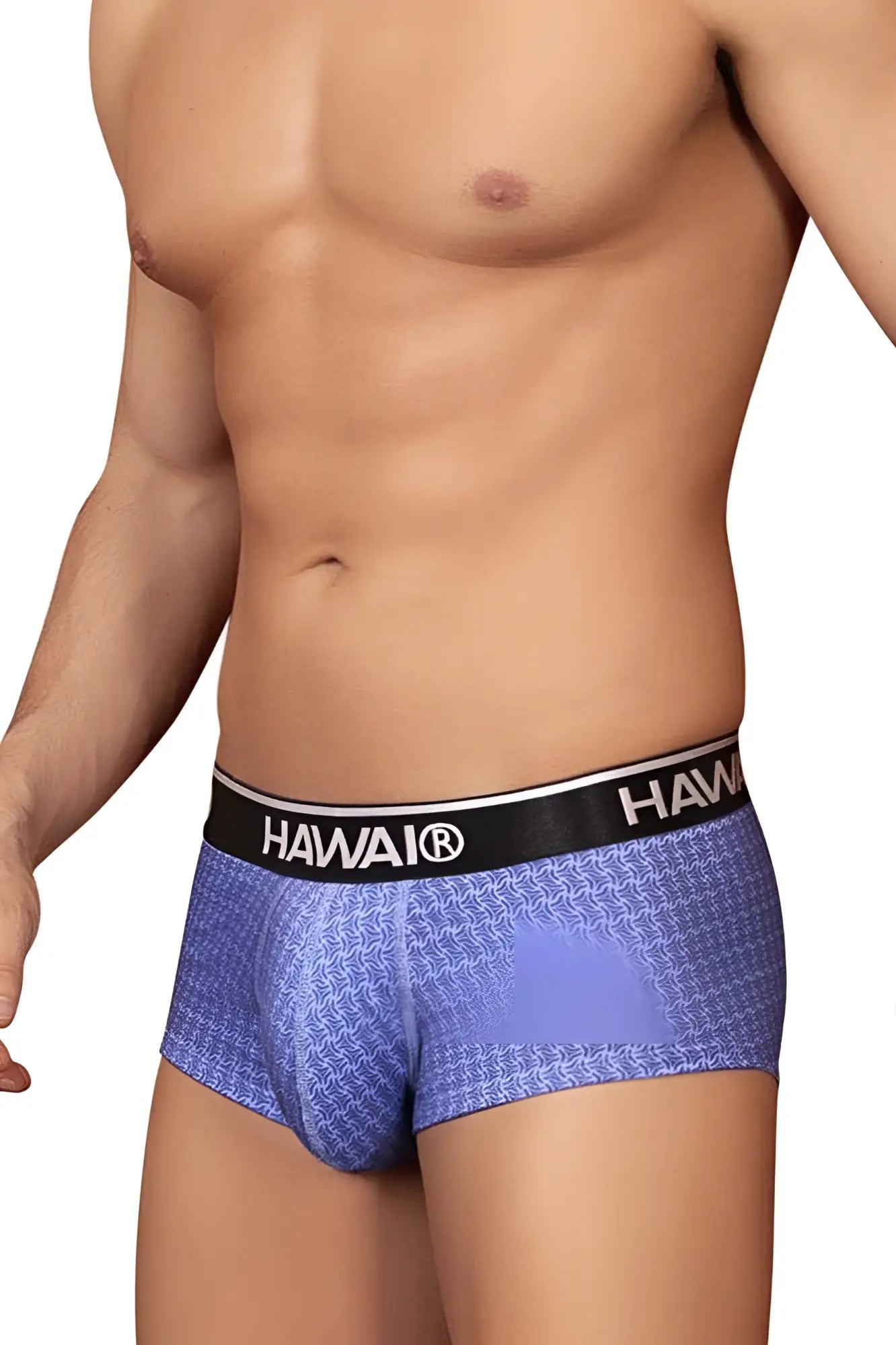 Blue patterned hawaiian men briefs with black waistband featuring hawaii logo in printed briefs color blue design