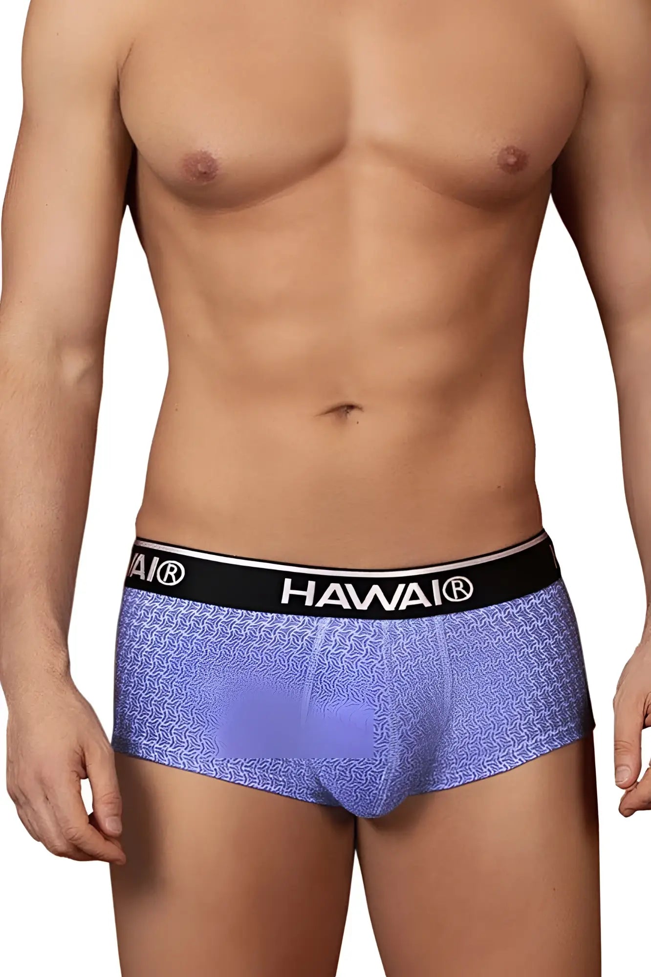 Blue printed briefs with purple patterns and black waistband featuring hawaii brand name model 42431