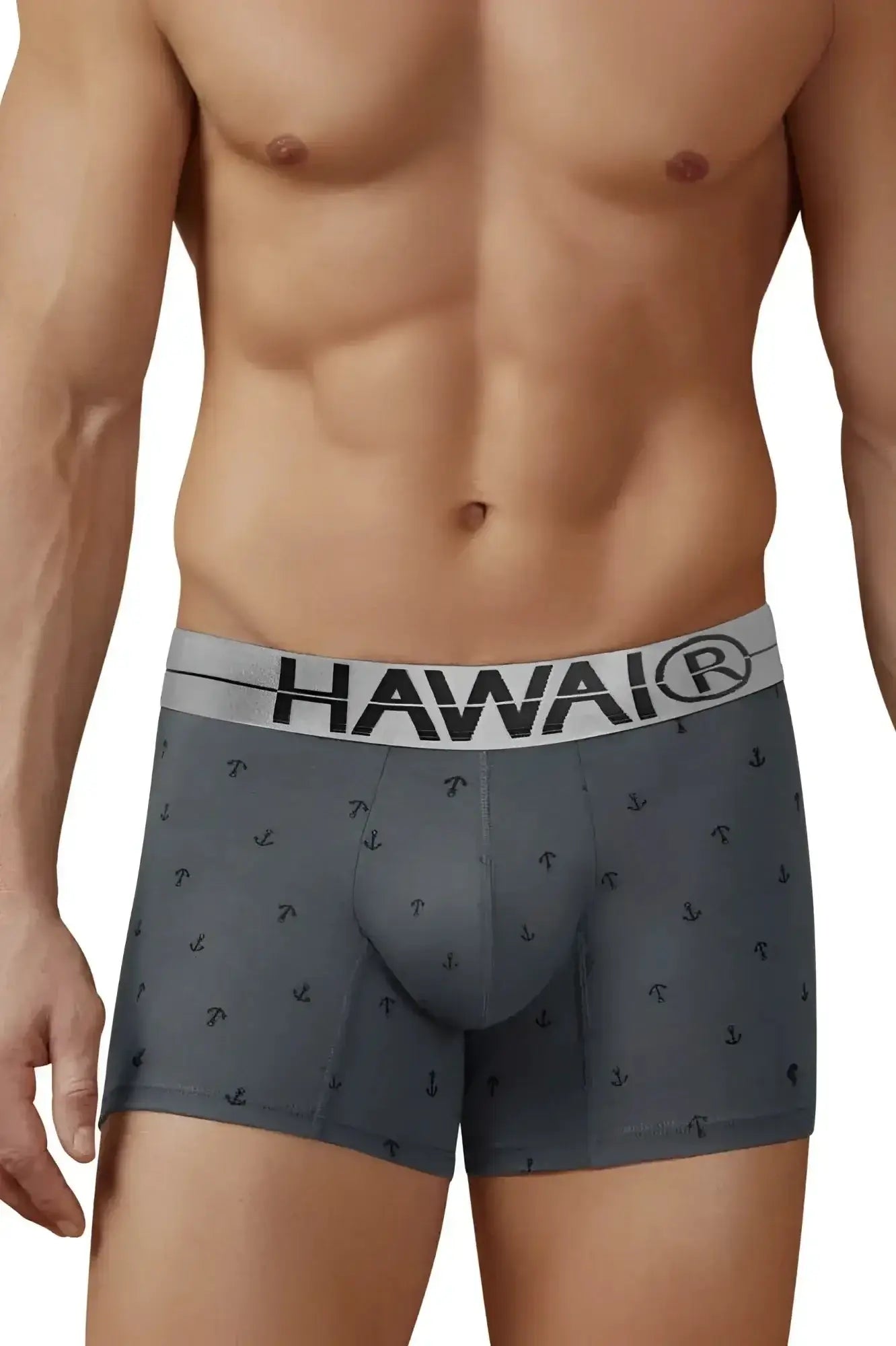 Gray cotton blend boxer briefs with black anchor pattern and white hawaii logo waistband hawair 42521 trunks