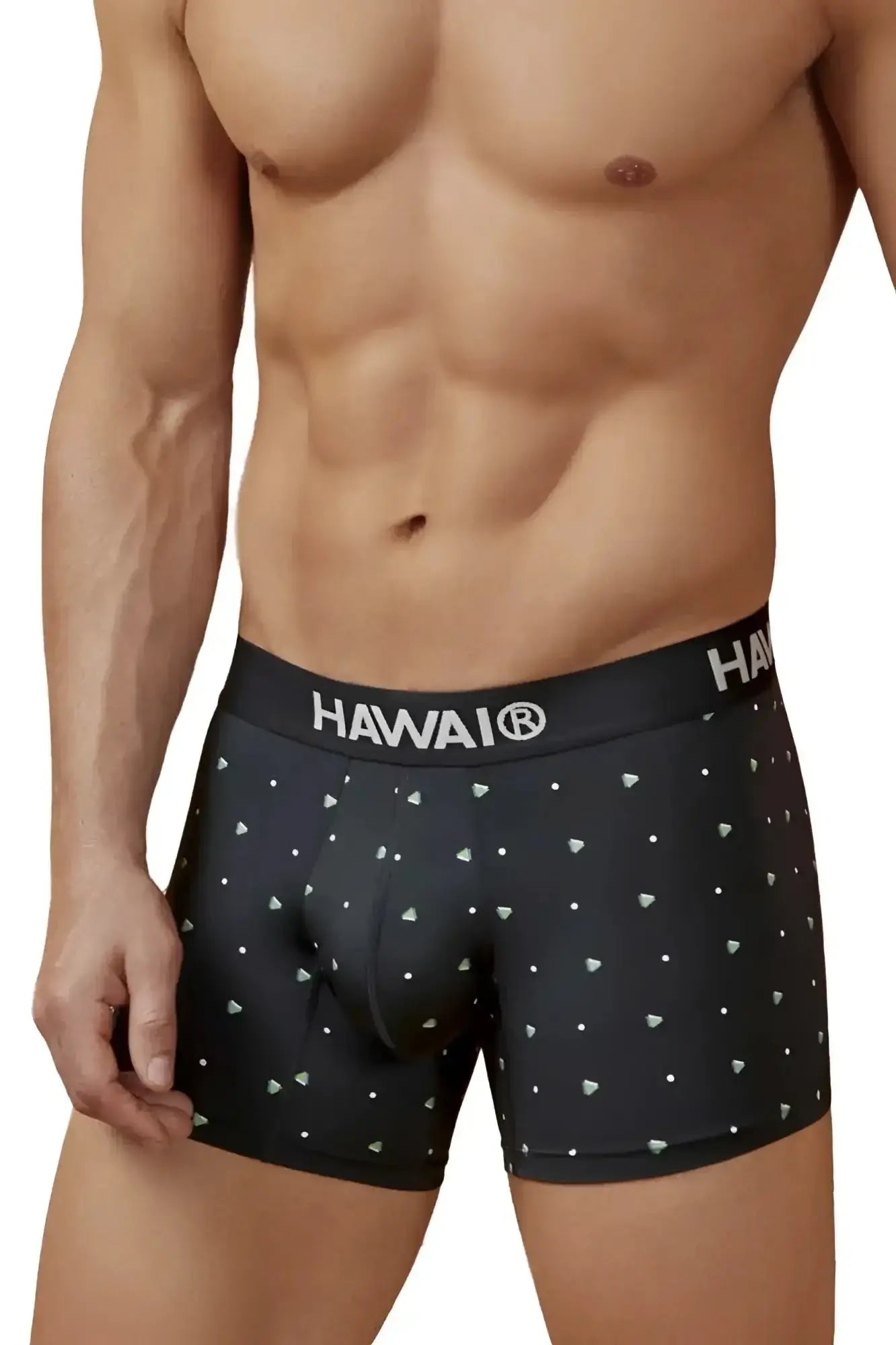 Black hawaiian men’s microfiber boxer briefs with white triangle pattern and hawai brand on the waistband
