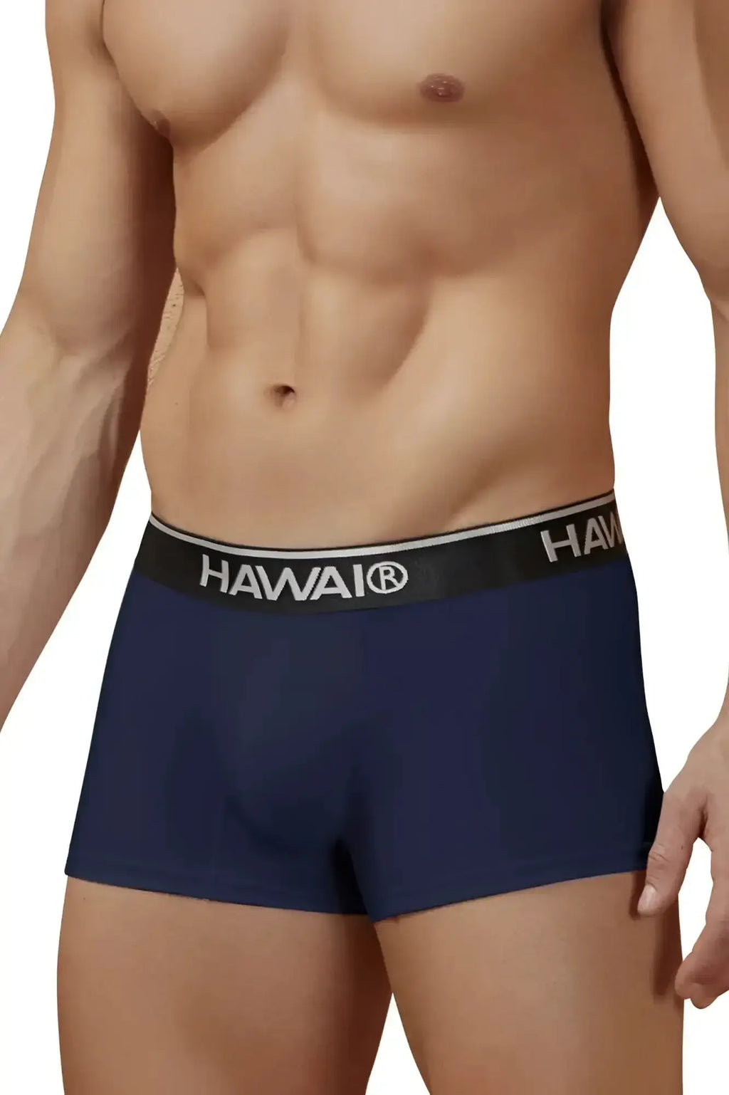 Navy blue hawaii brand cotton blend briefs with black waistband and white lettering from hawair 4986 trunks collection