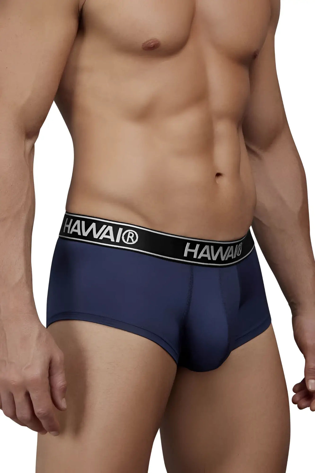 Navy blue hawaiian microfiber men’s briefs with black elastic waistband featuring white hawair brand name