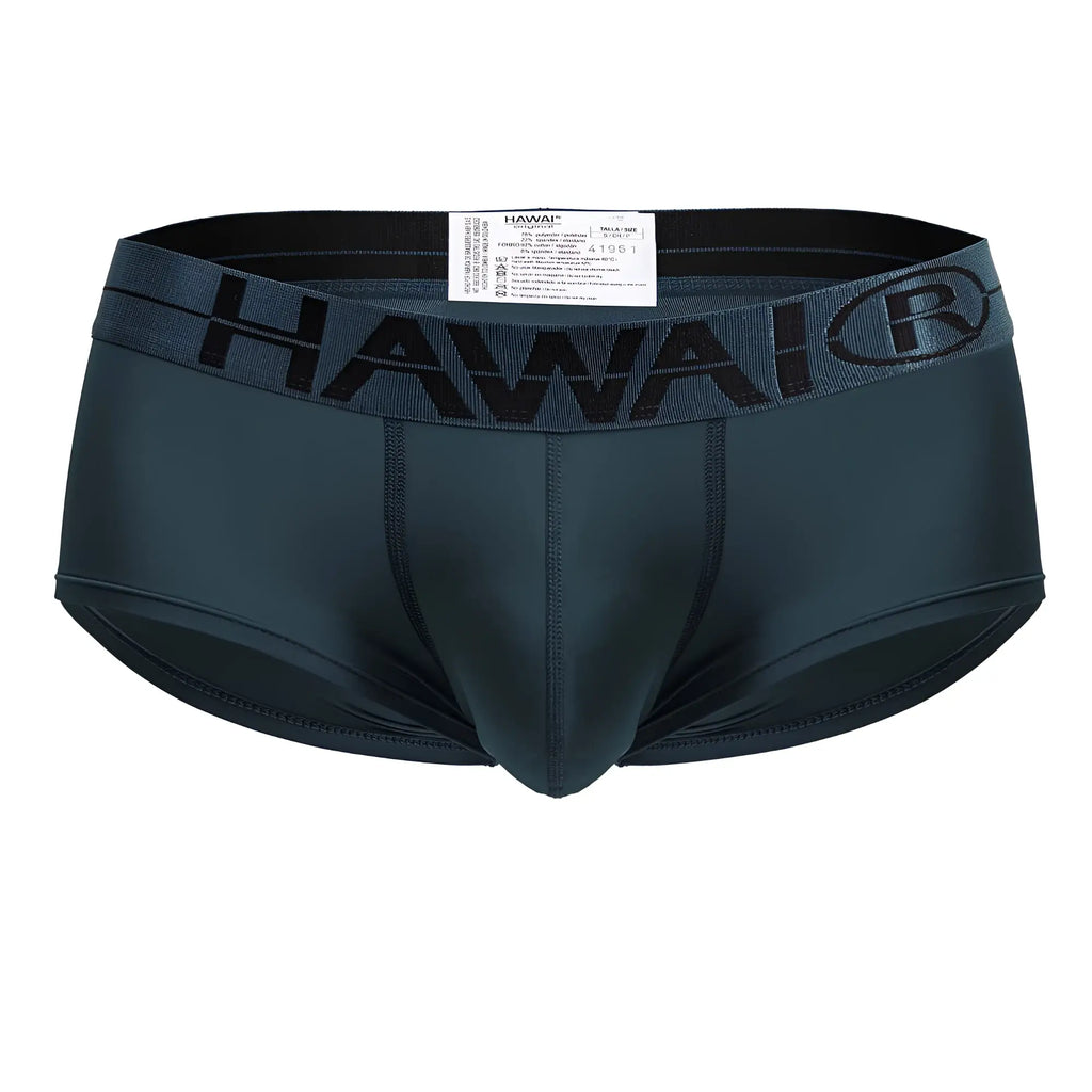 Dark teal hawaii men’s microfiber briefs with black elastic waistband featuring the brand logo in green color