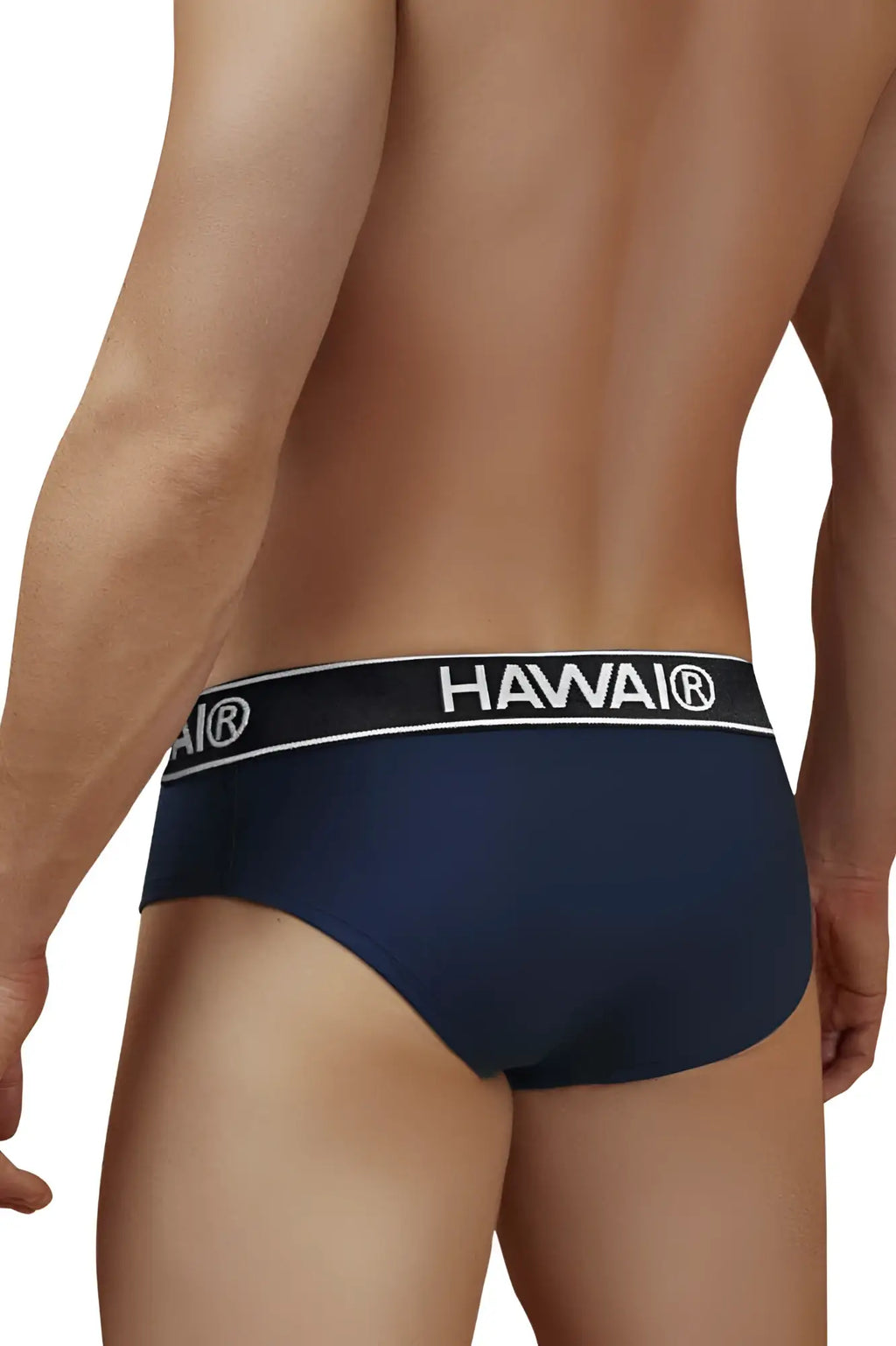 Navy blue Hawai branded cotton blend briefs with white elastic waistband in HAWAIR 41962 dark blue color