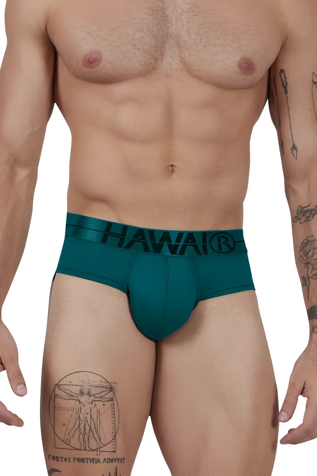 Teal hawai® hawair 41963 green microfiber briefs with black logo waistband shown from the back side