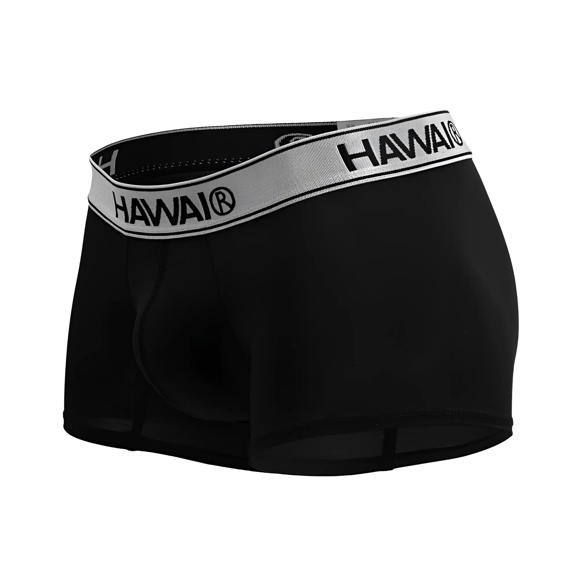 Black hawai briefs in black microfiber with a gray waistband featuring black brand name lettering