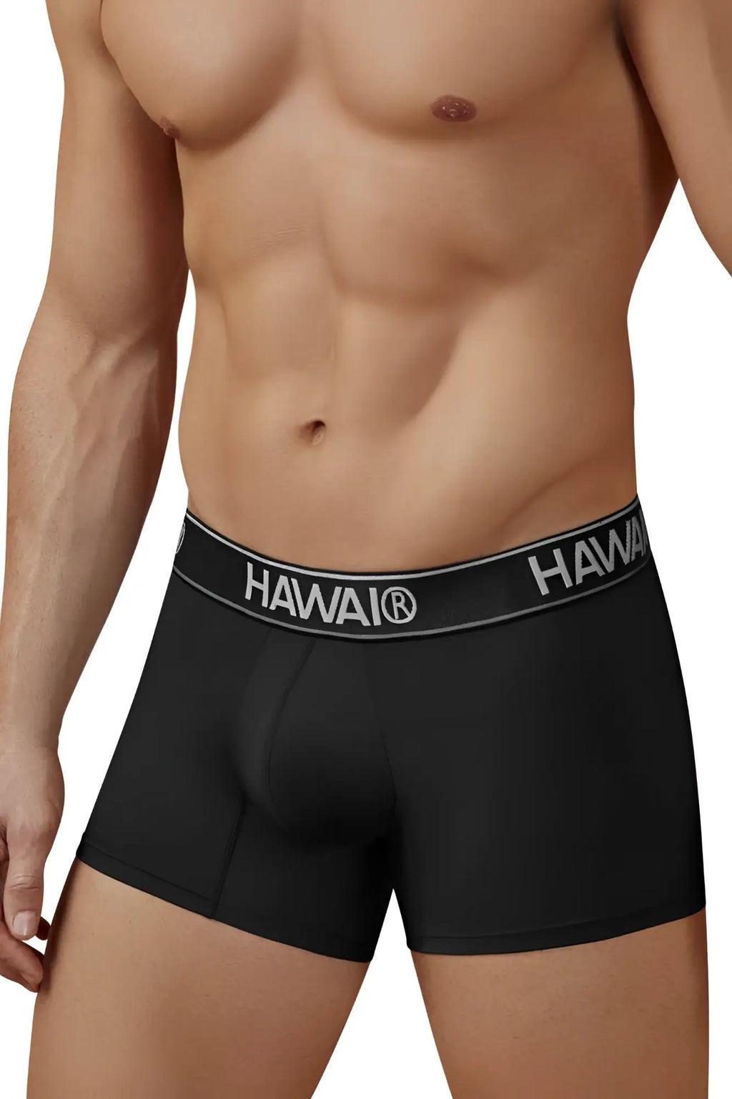 Black hawai men’s microfiber boxer briefs in black with gray waistband featuring white brand name lettering