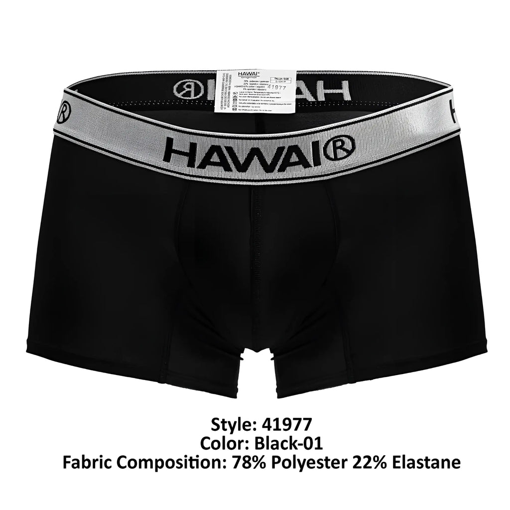 Black hawaii brand microfiber boxer briefs in black with a silver-striped elastic waistband for comfortable wear